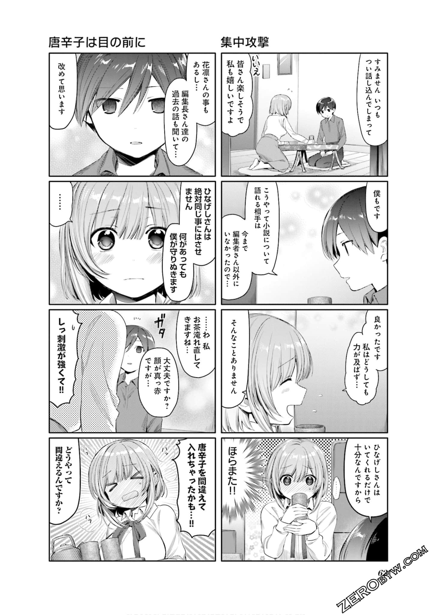 Page 63