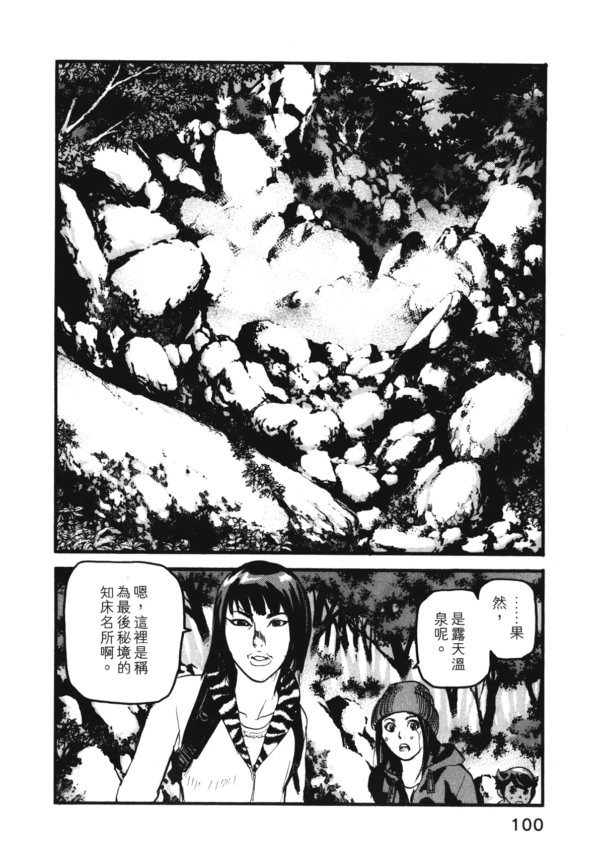Page 102