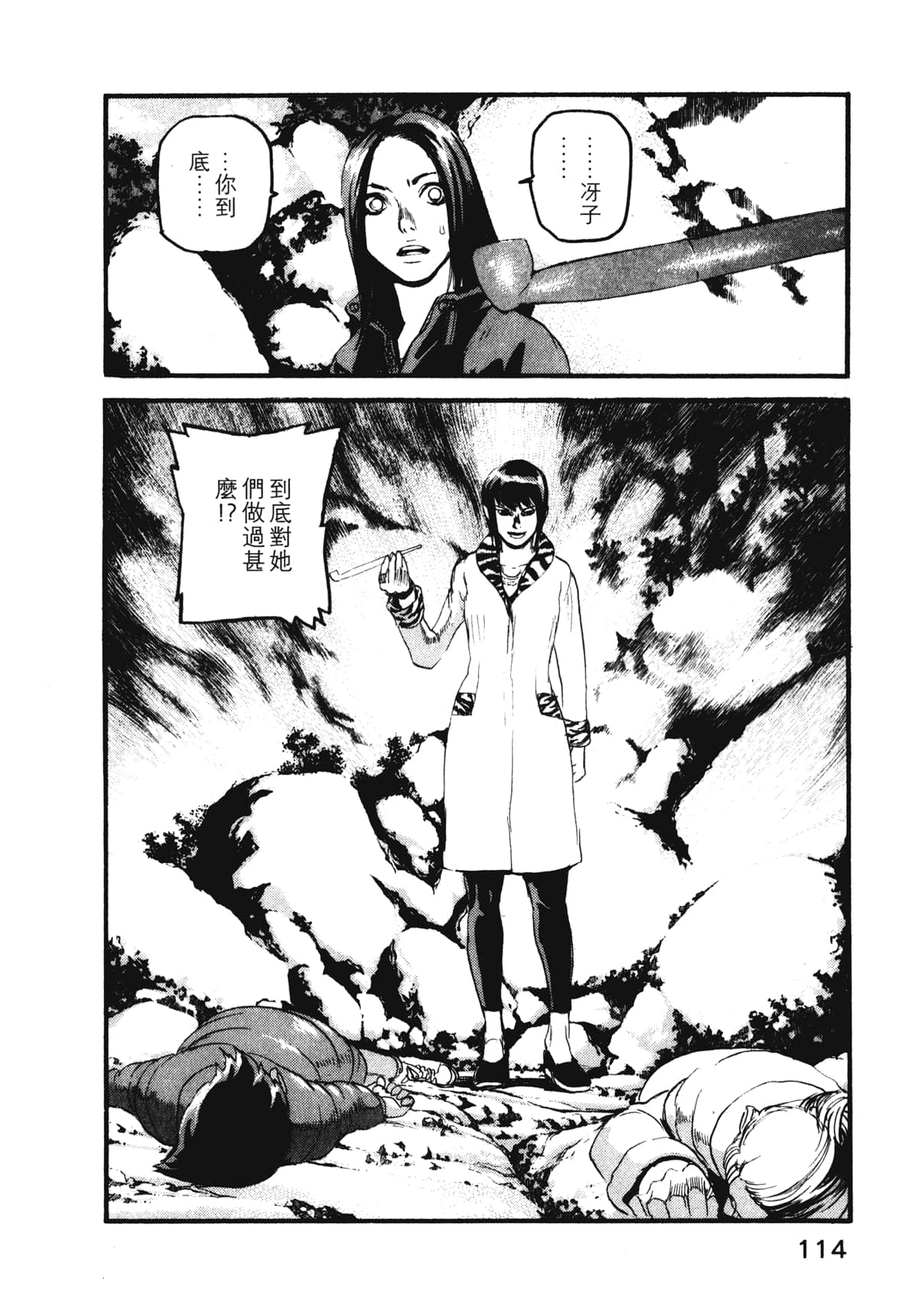 Page 116