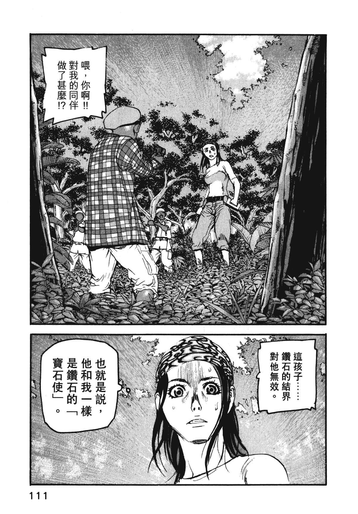Page 113
