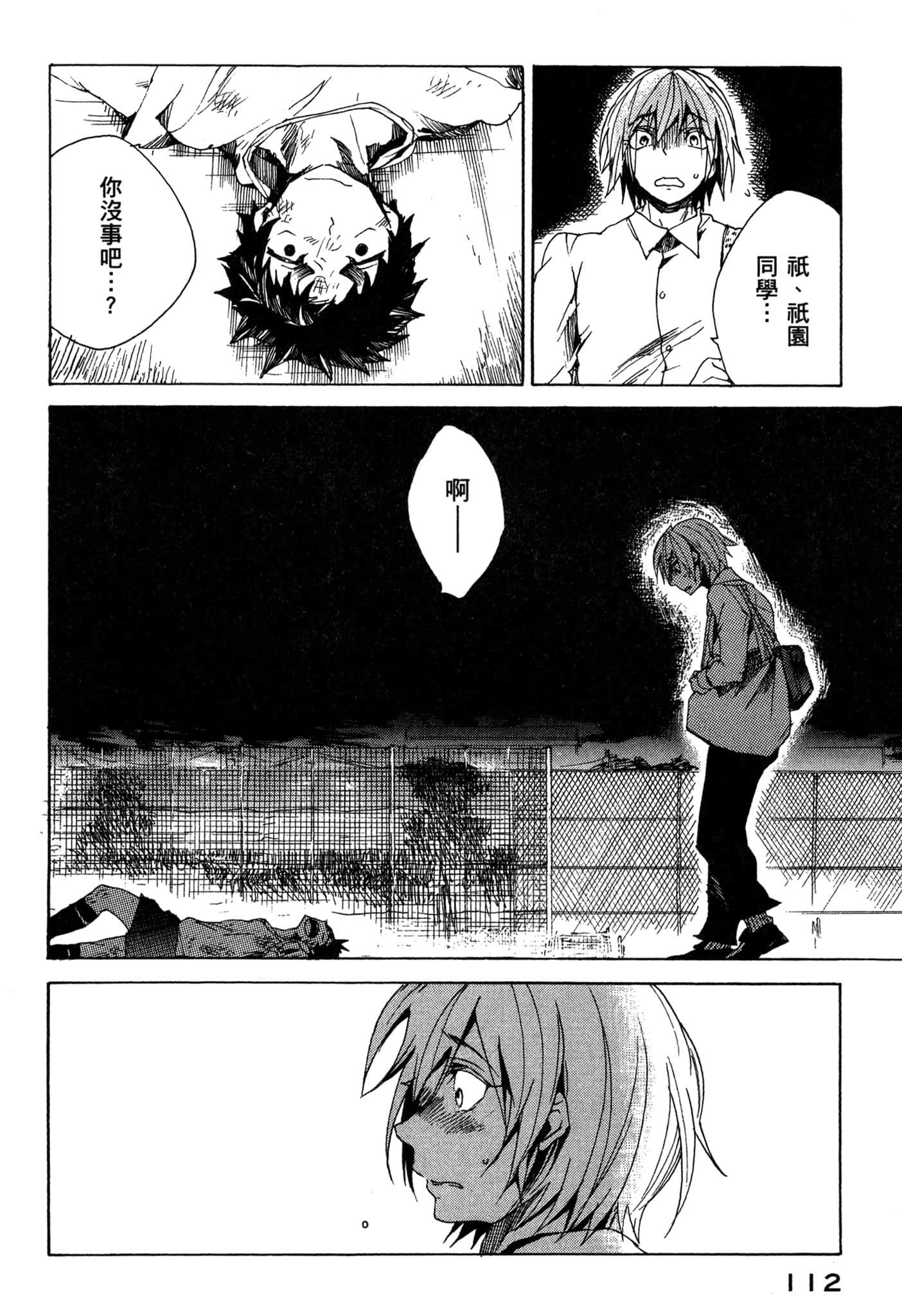 Page 113
