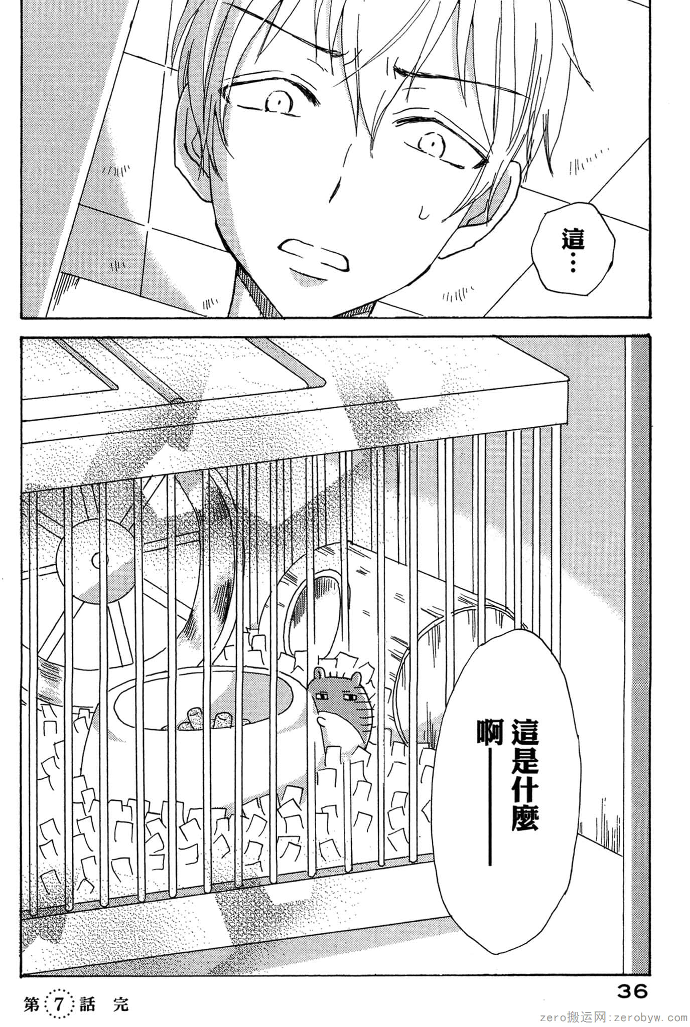 Page 37
