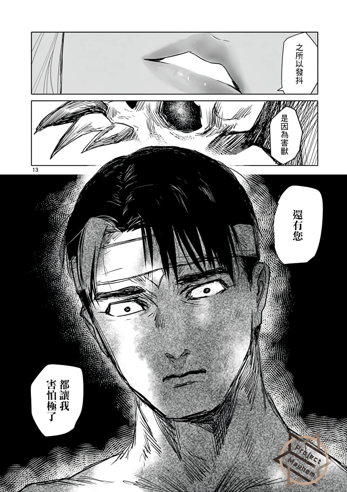 第 13 页