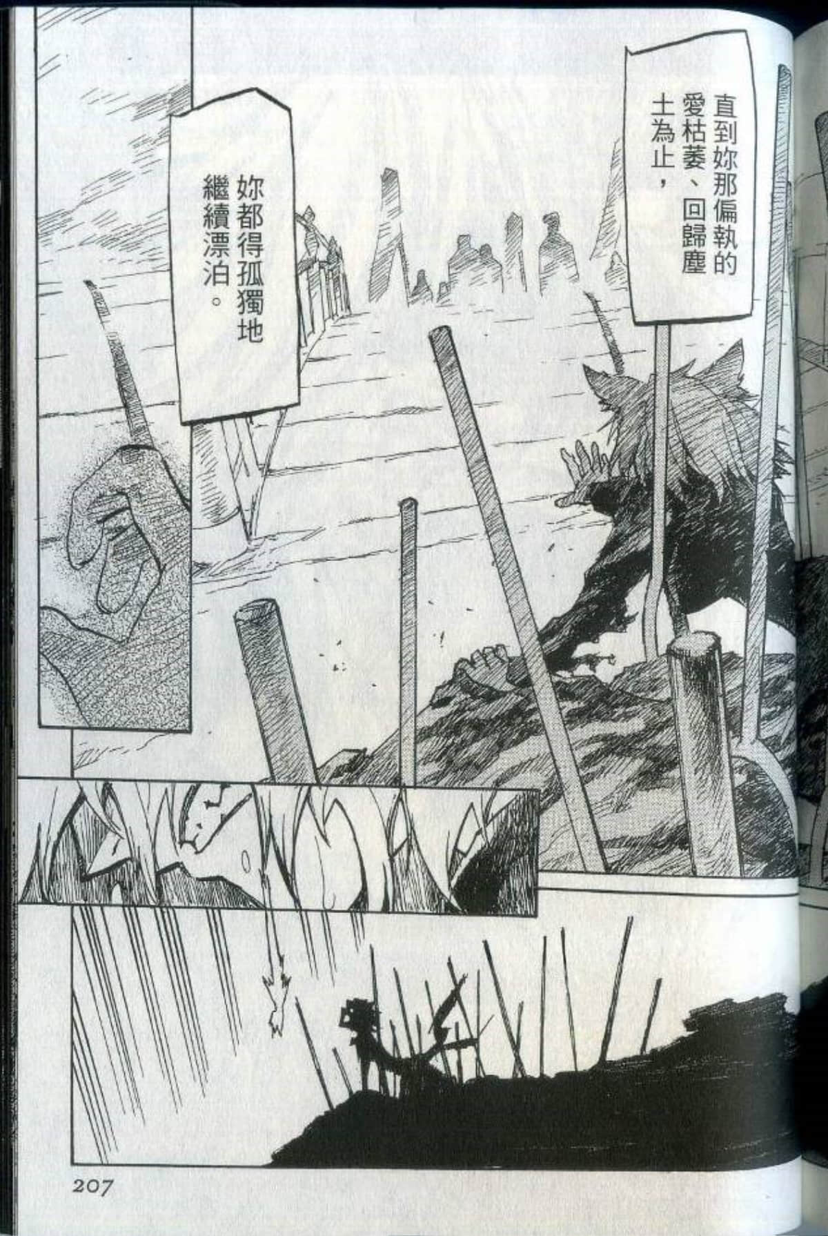 Page 213