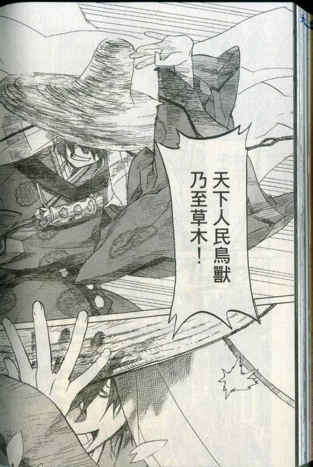 Page 238