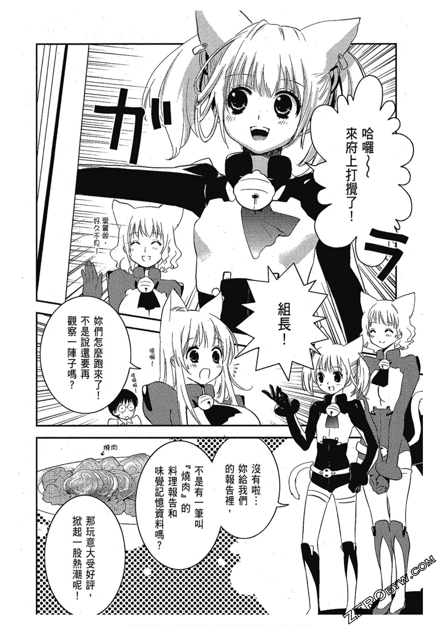 Page 101