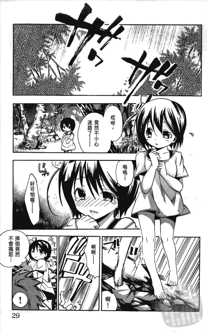 第 29 页