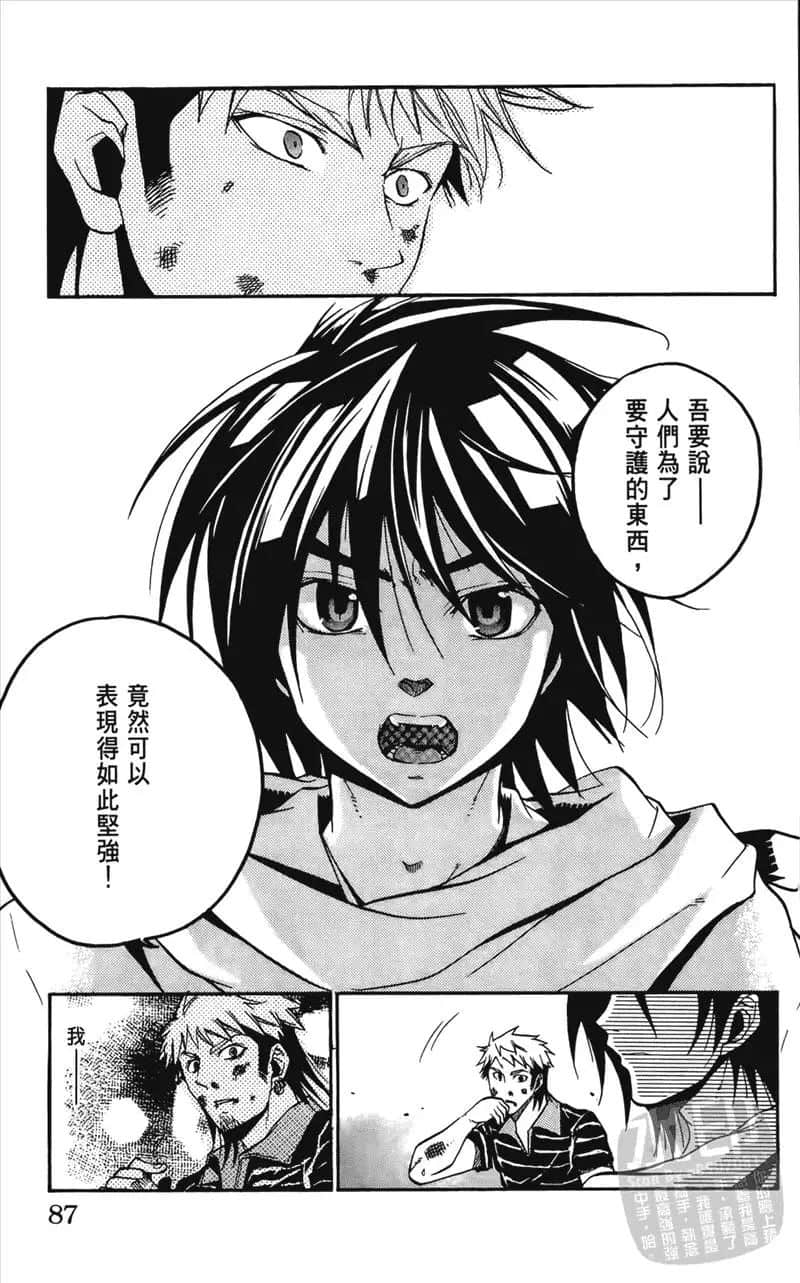 Page 87