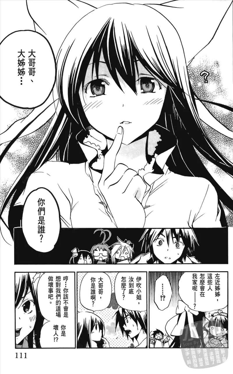 Page 111