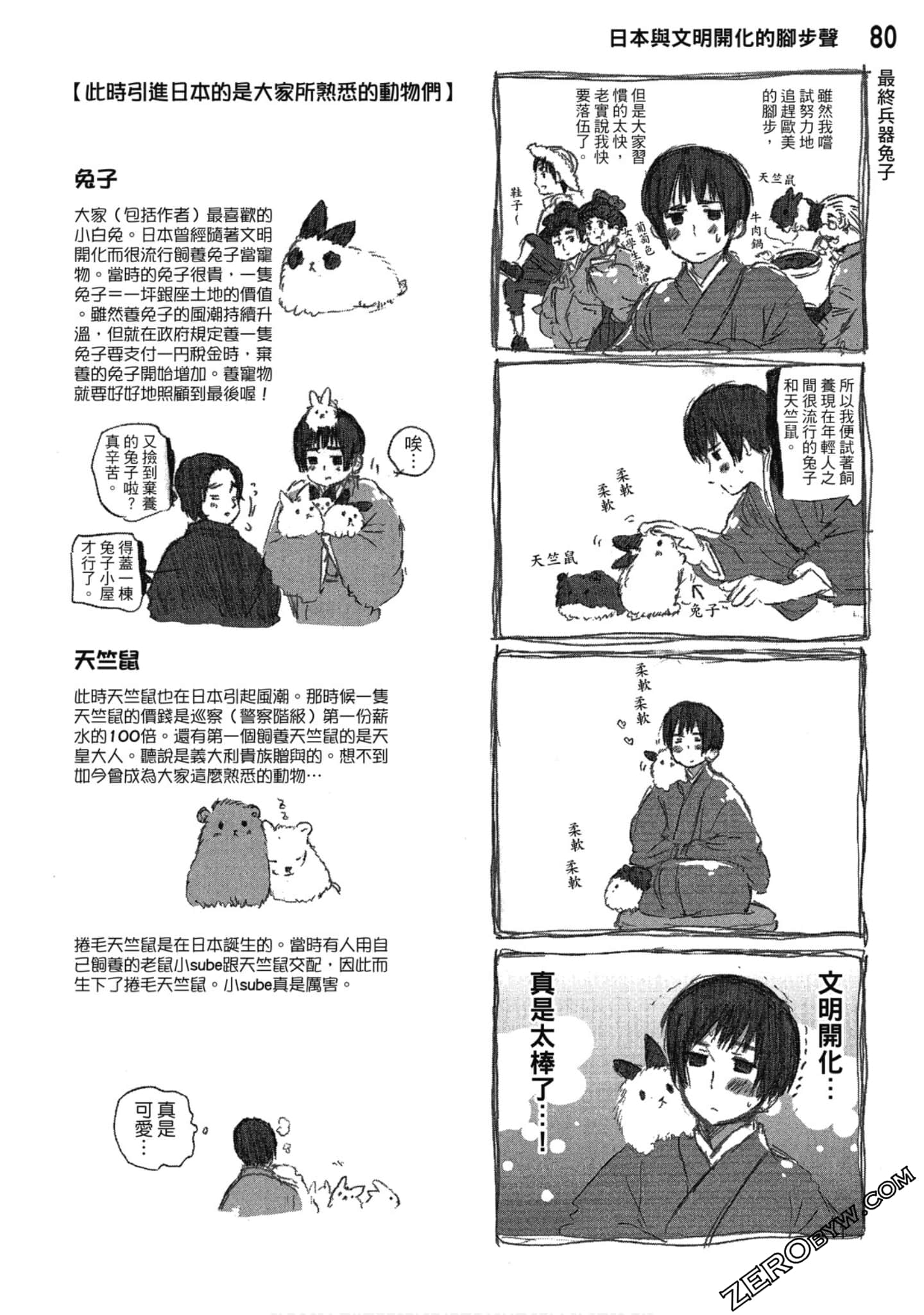 Page 81