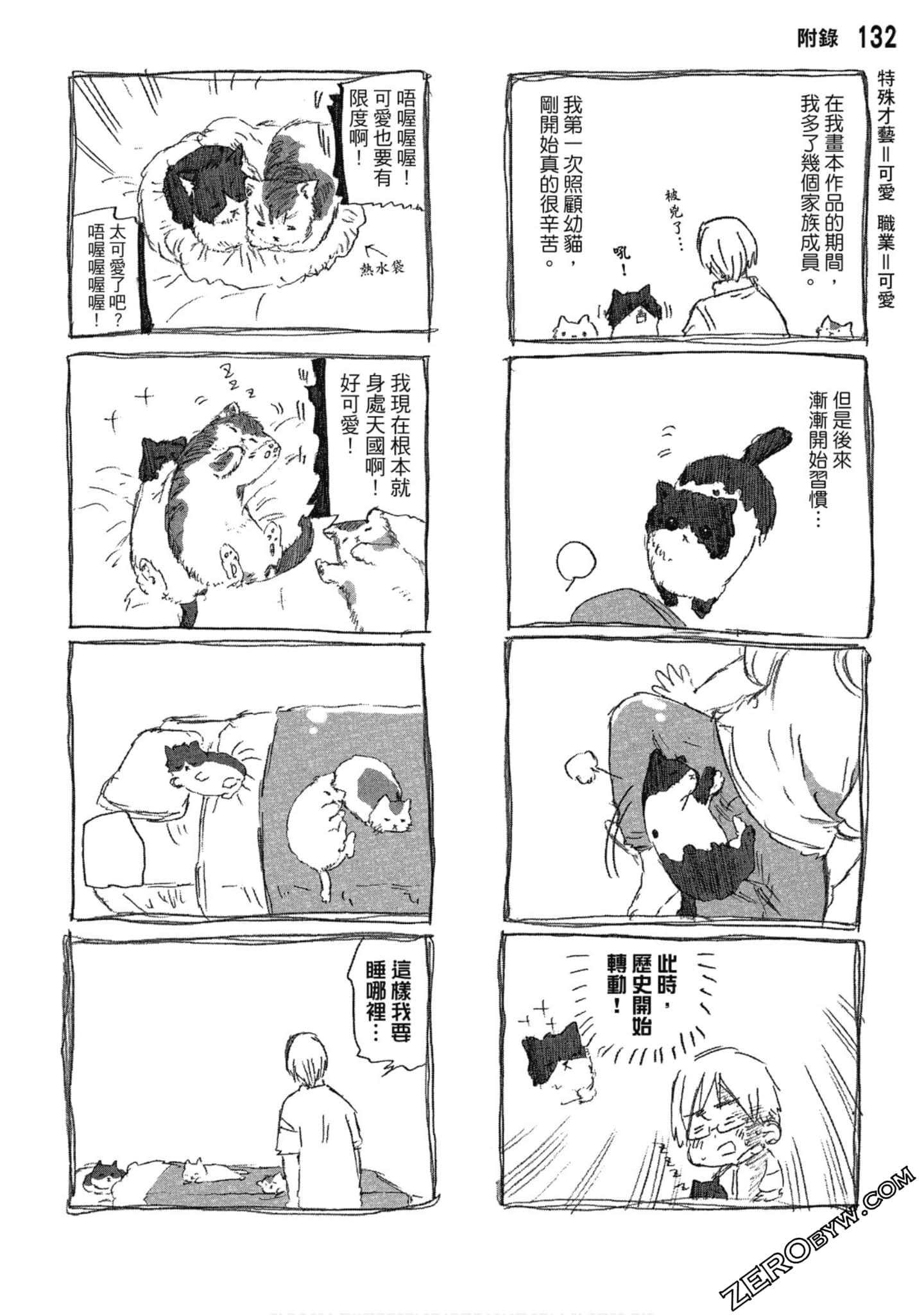 Page 133