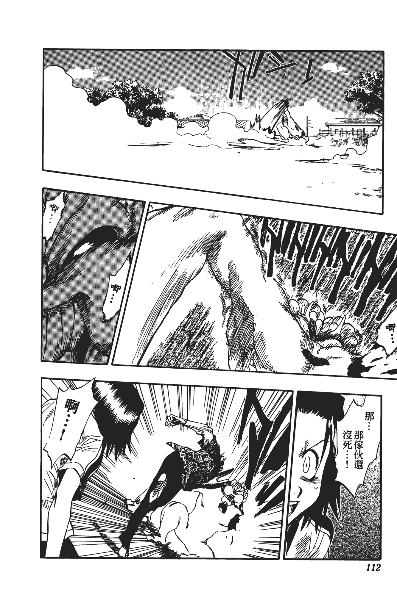 Page 113