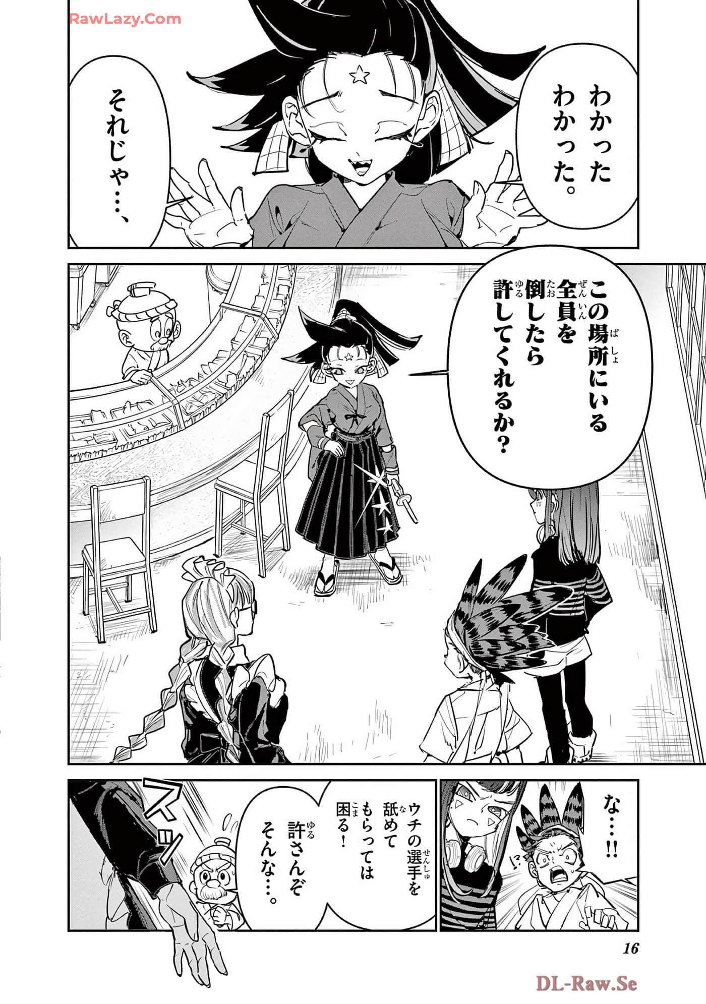 第 17 页