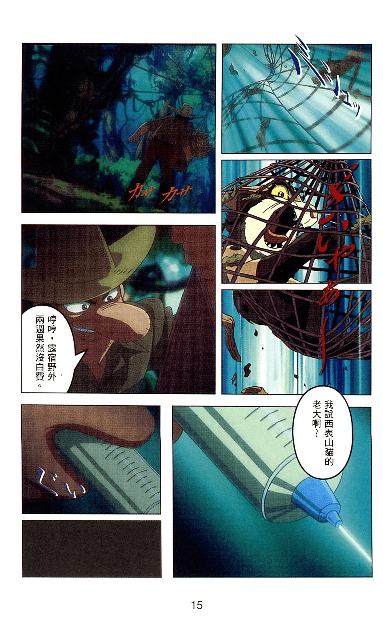 Page 15