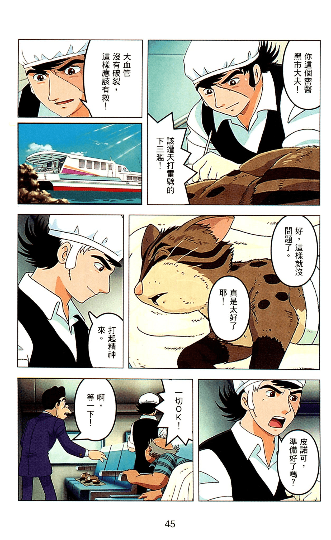 Page 45