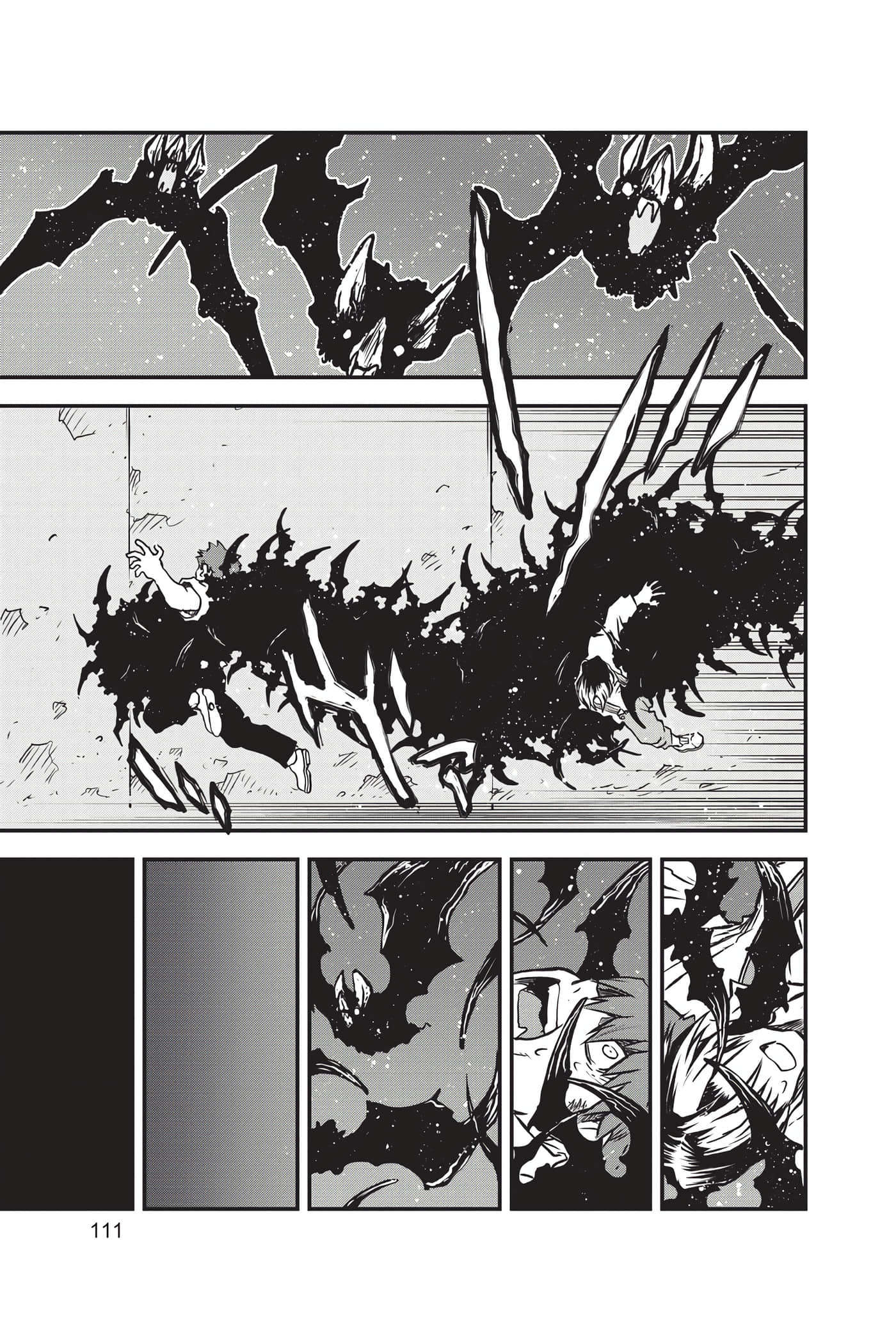 Page 113