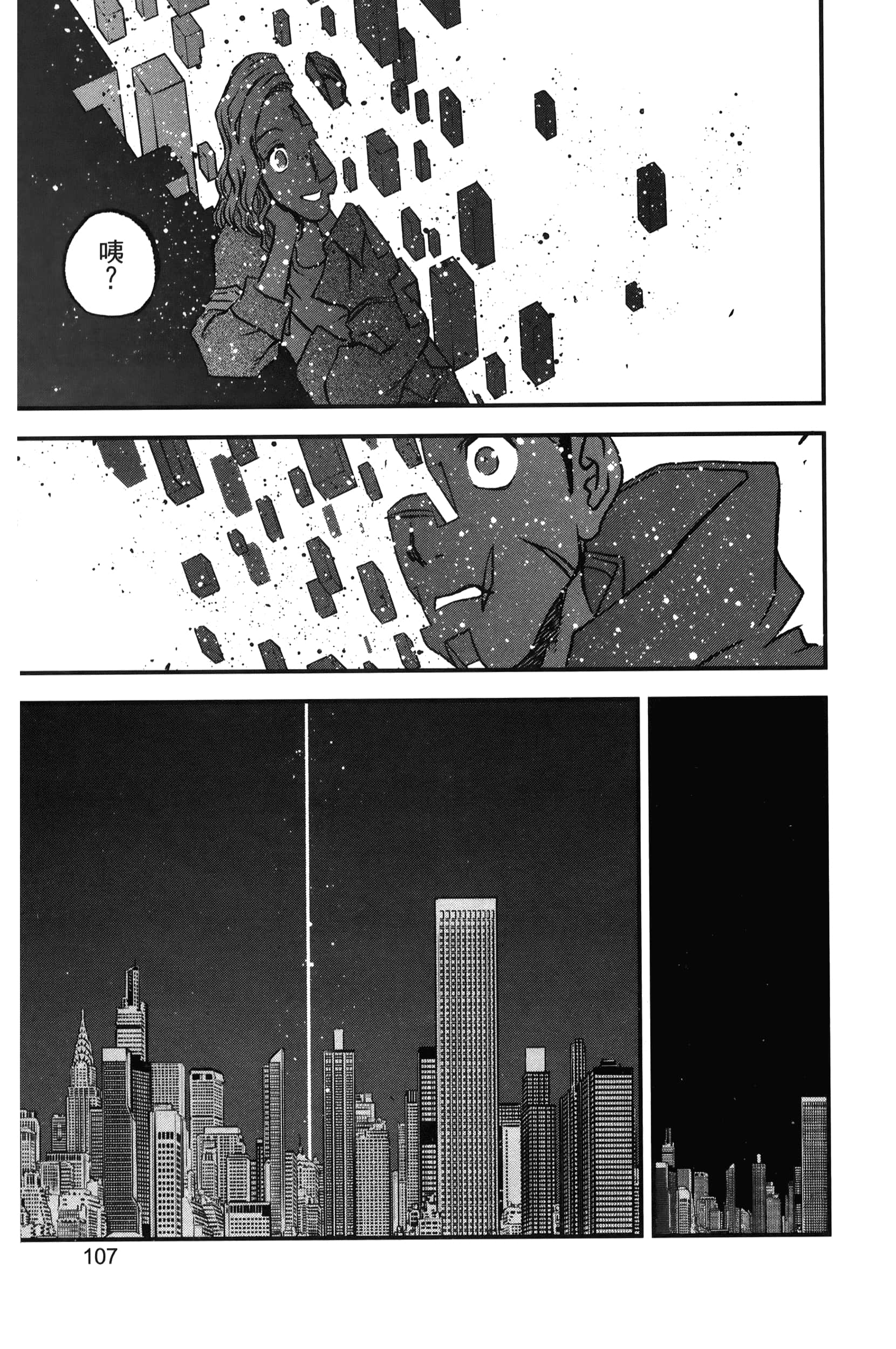 第 113 页