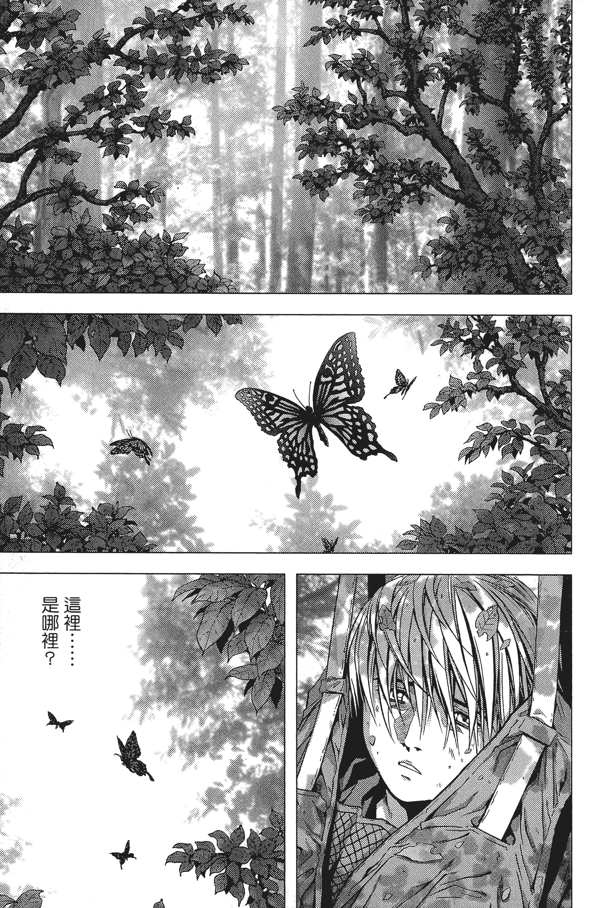 第 25 页