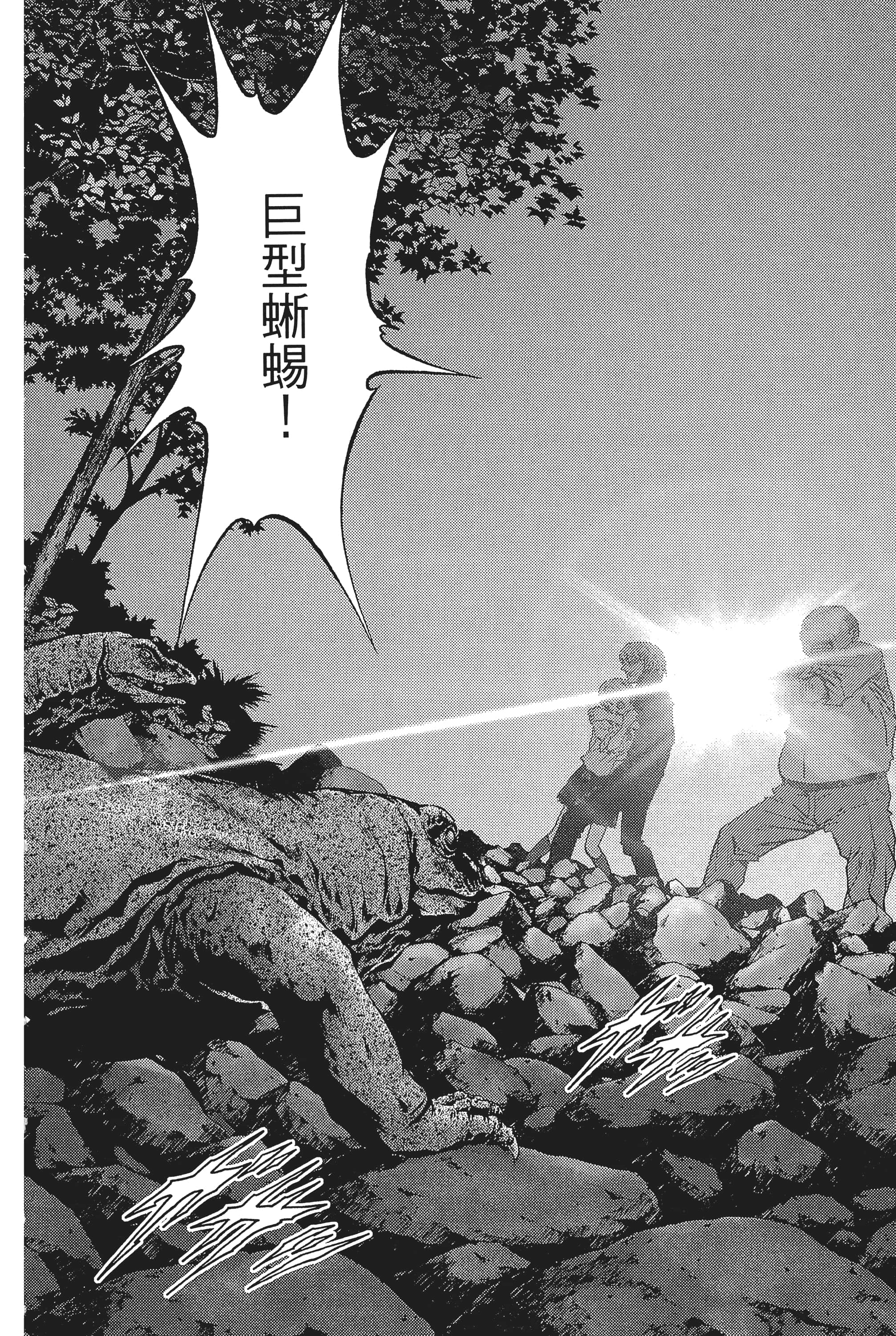 第 74 页