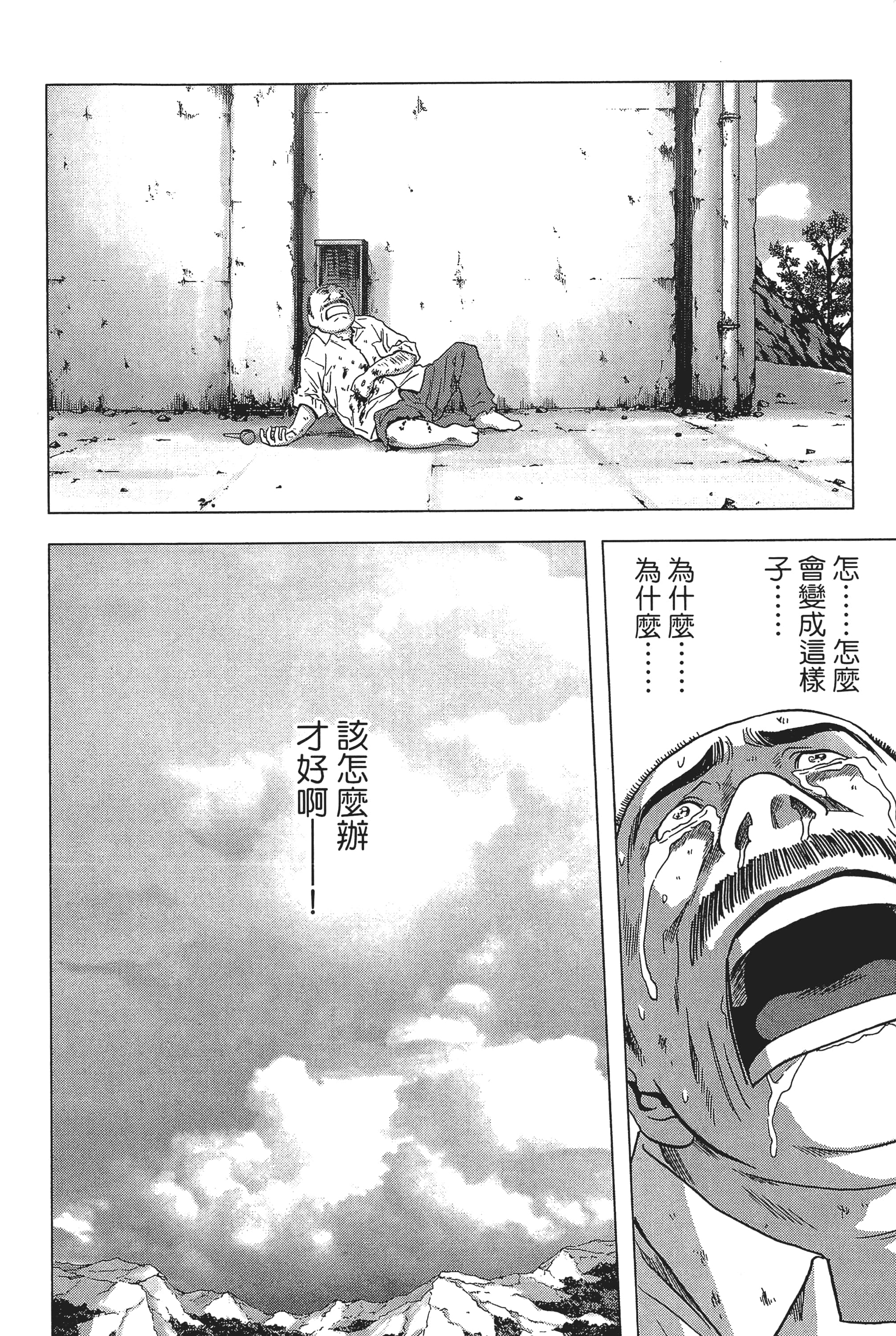 第 100 页