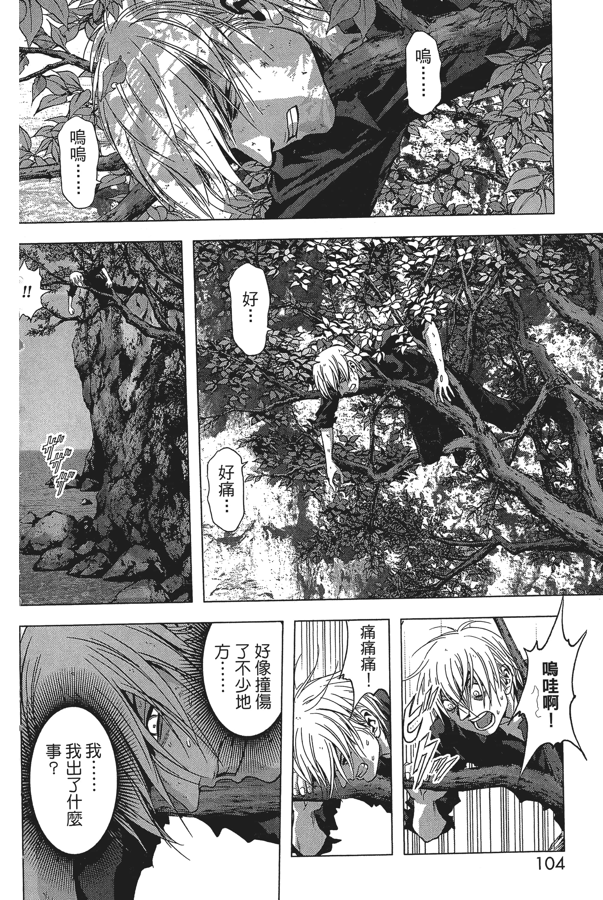 第 106 页