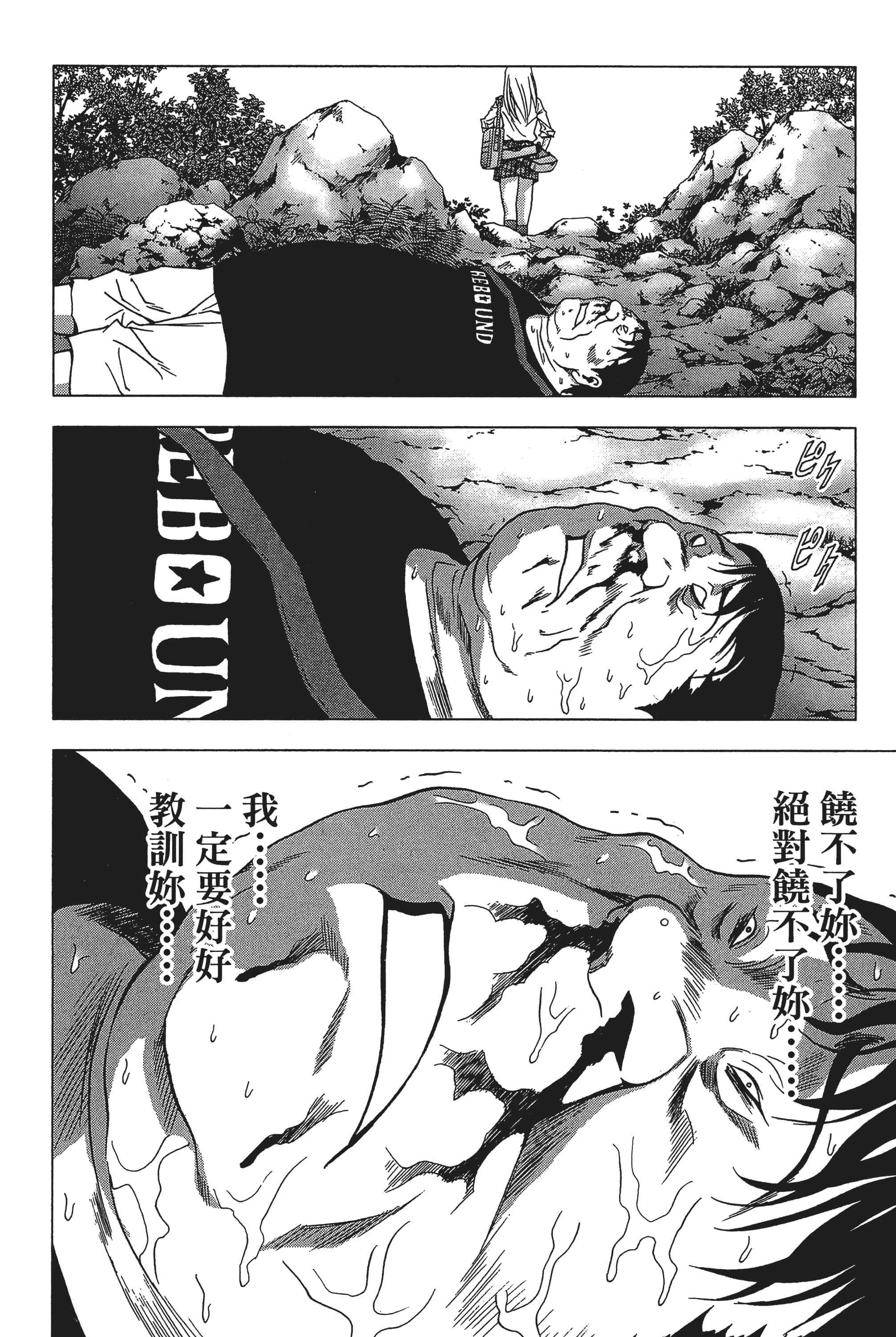 第 68 页
