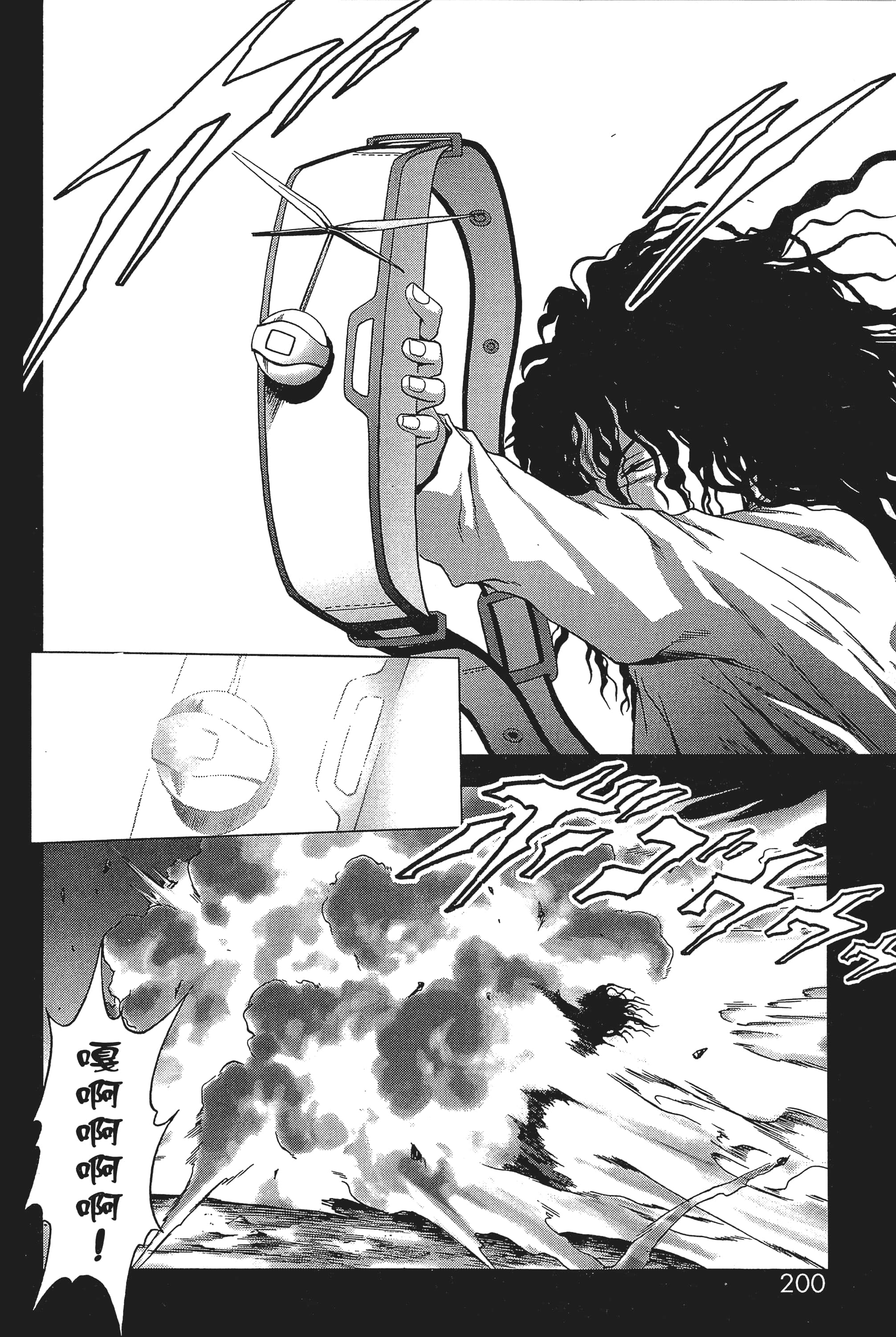 第 202 页