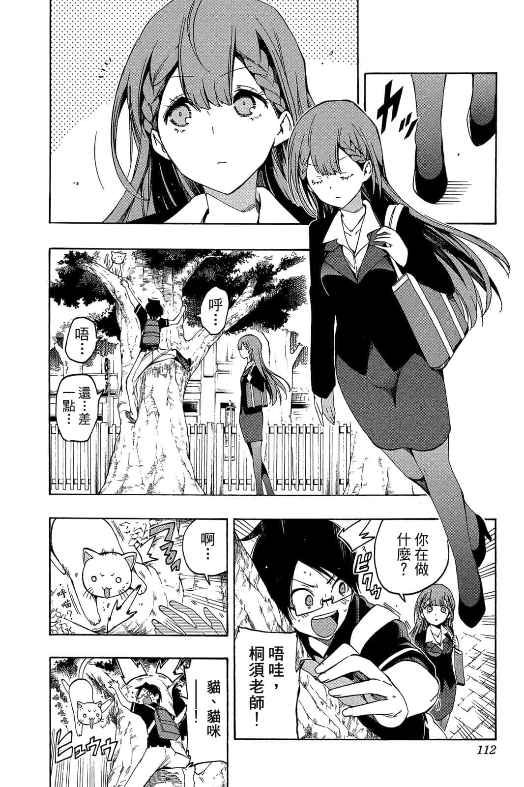 Page 111