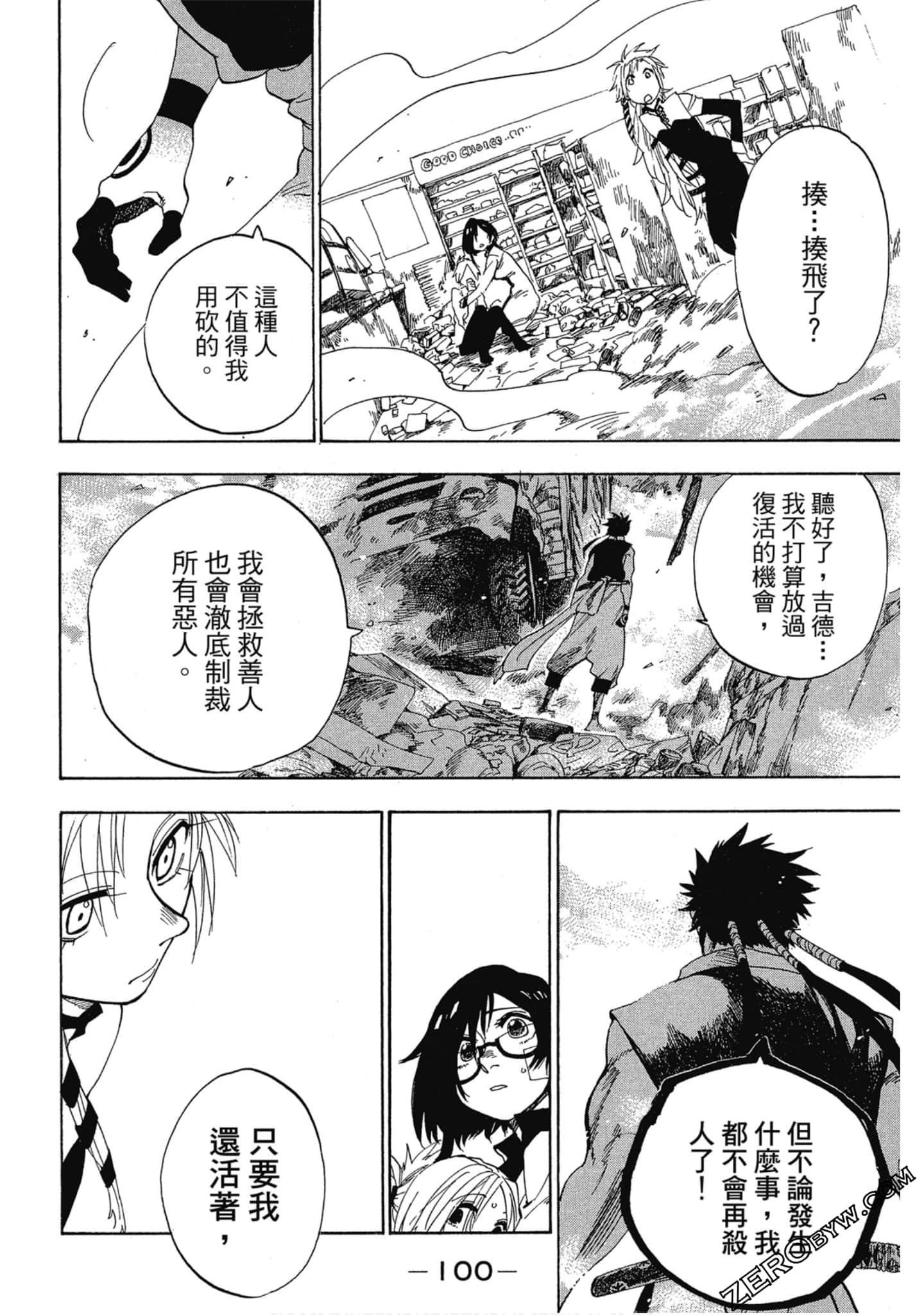 Page 101