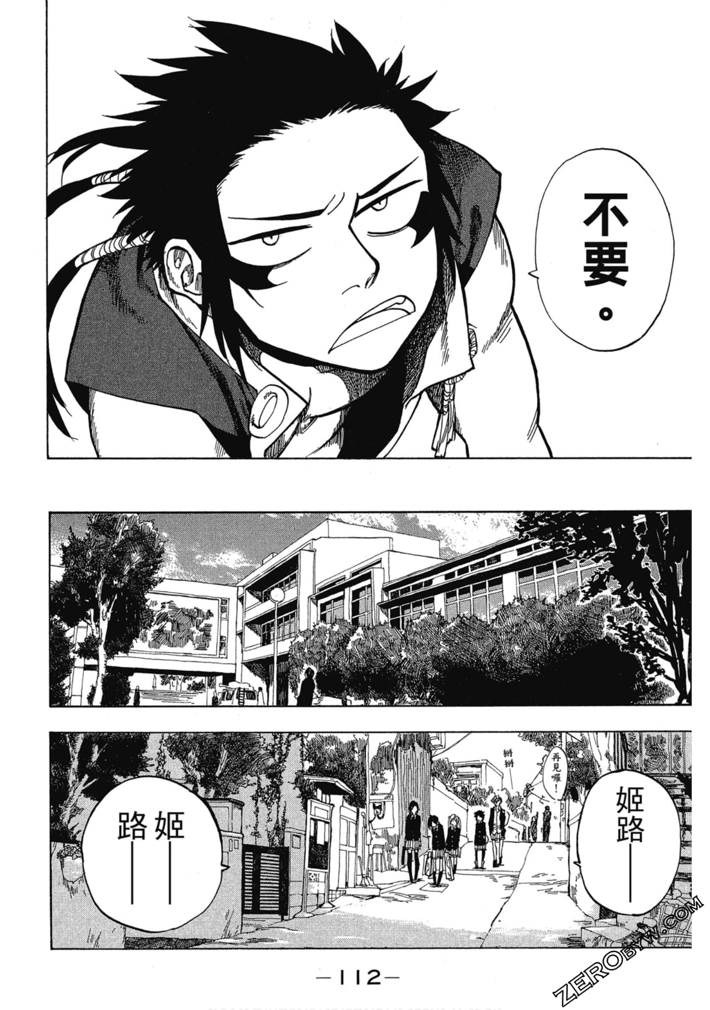 Page 113