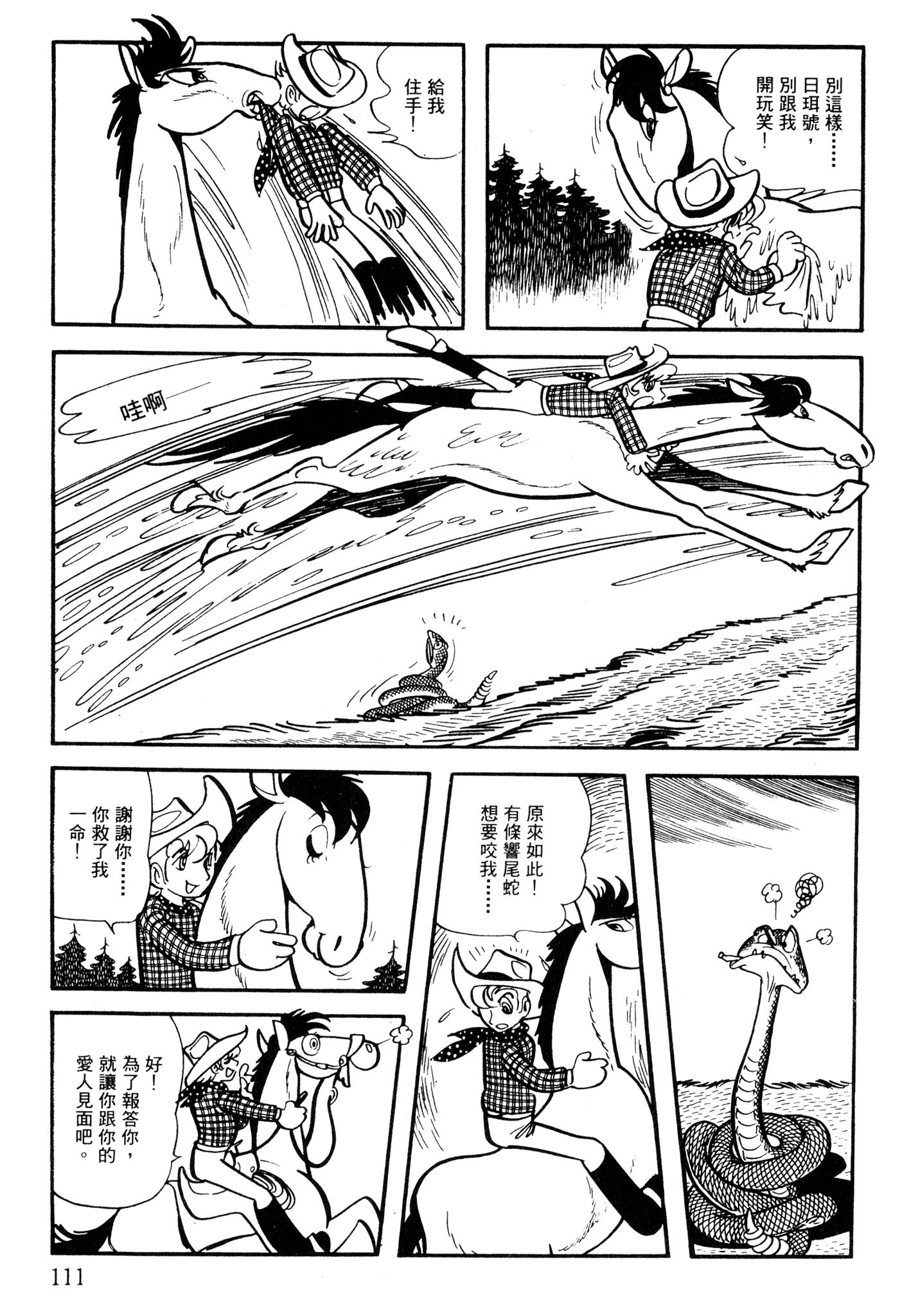 Page 110
