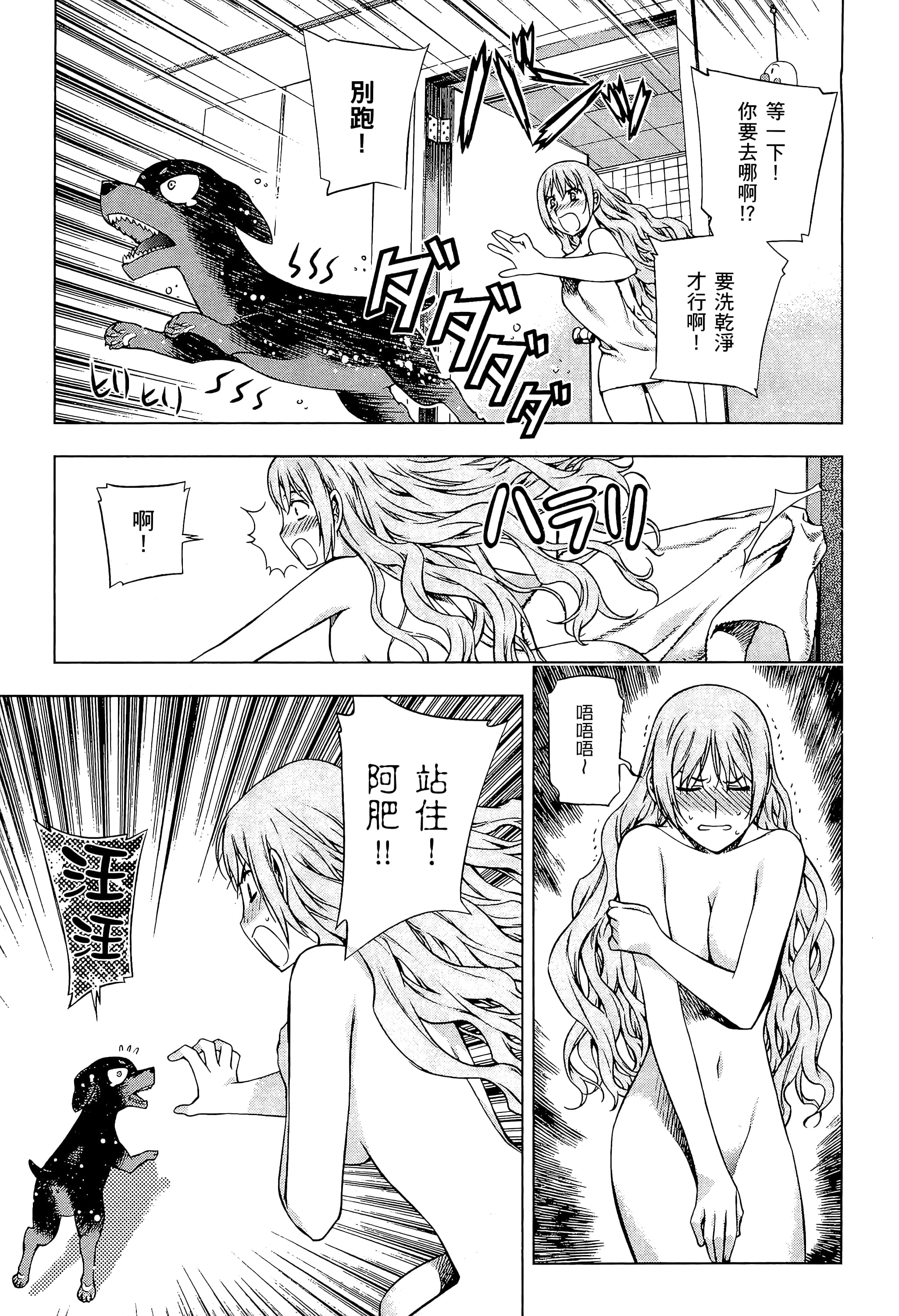 第 223 页