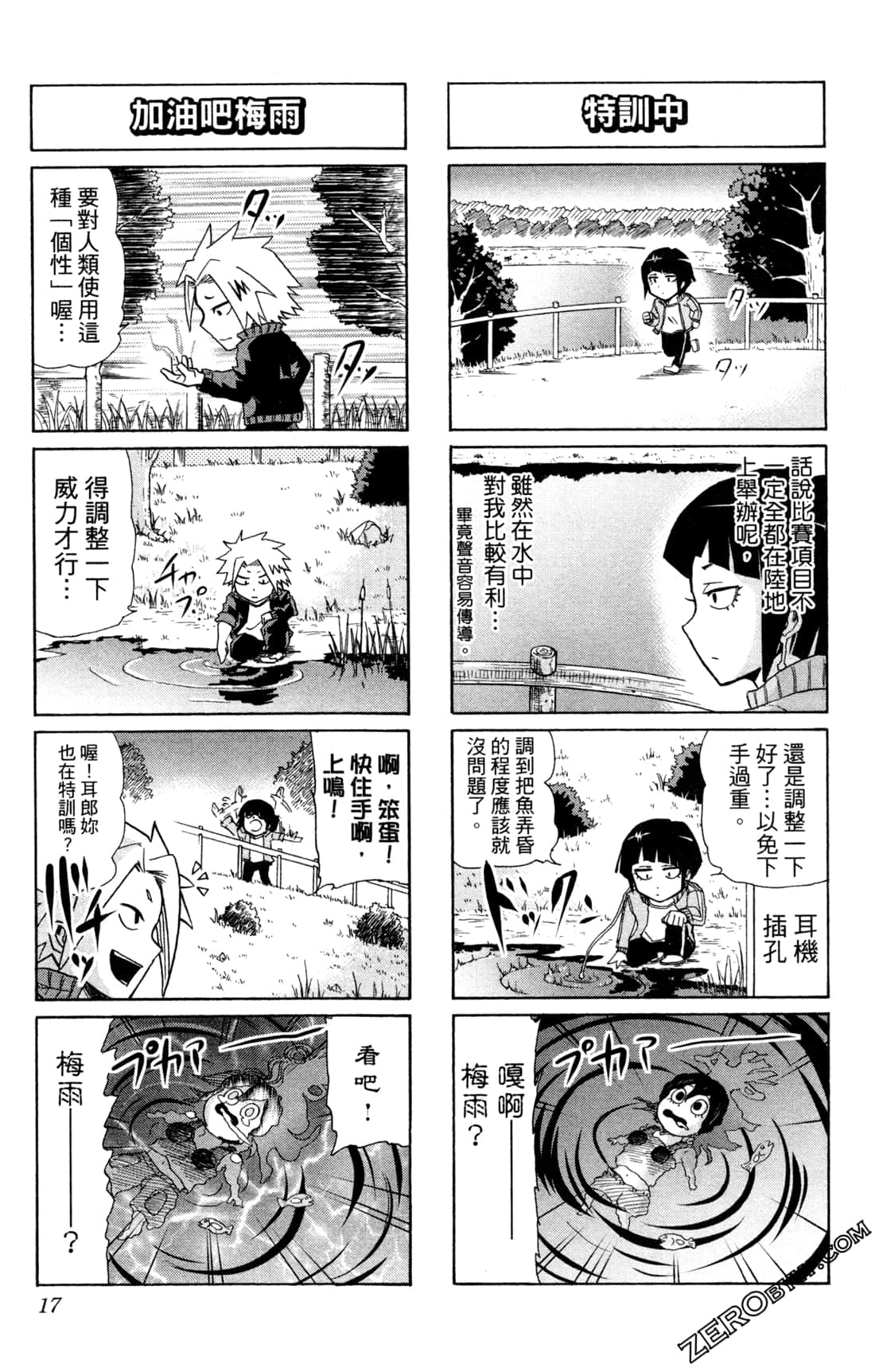 Page 17