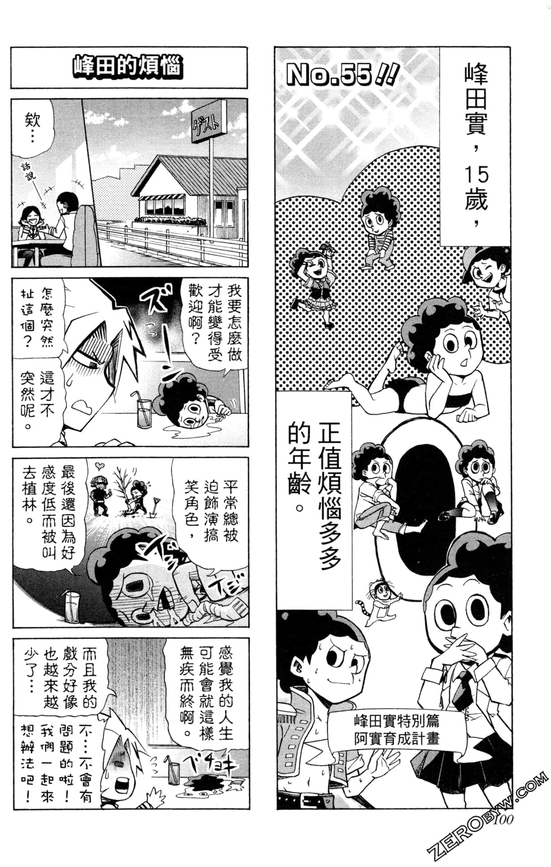 Page 100