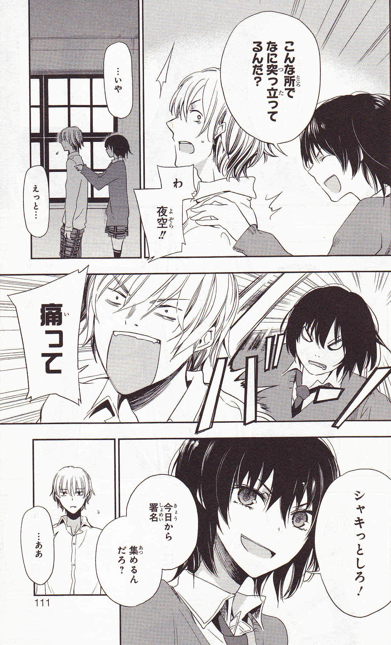 Page 111