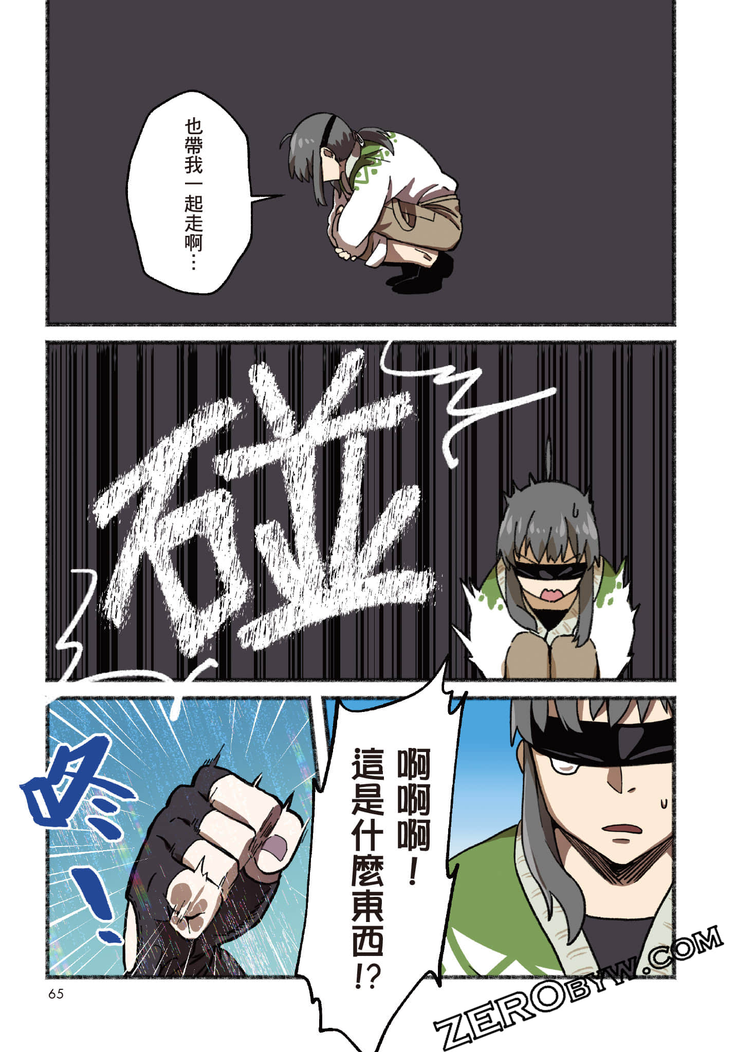 第 66 页