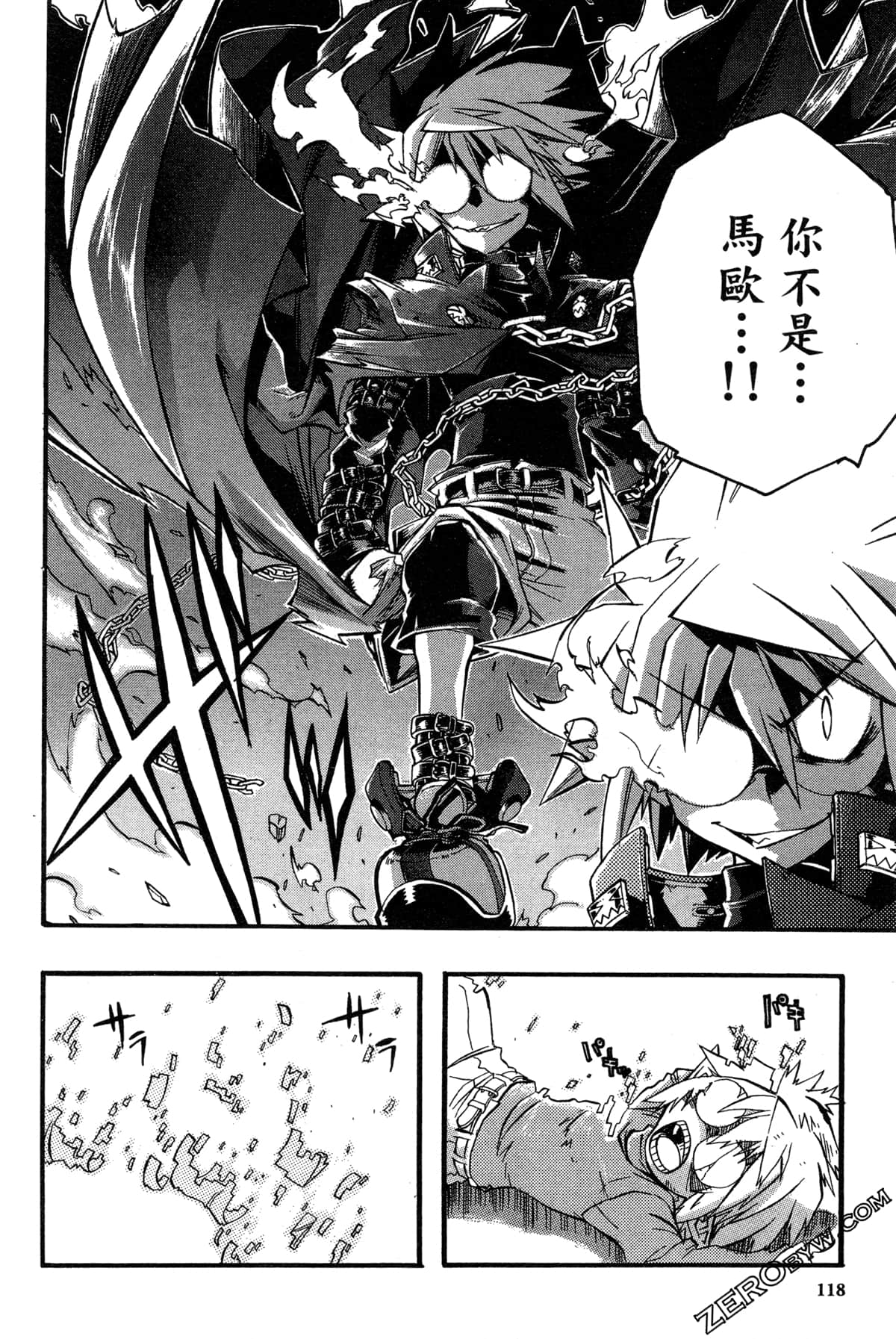 Page 119