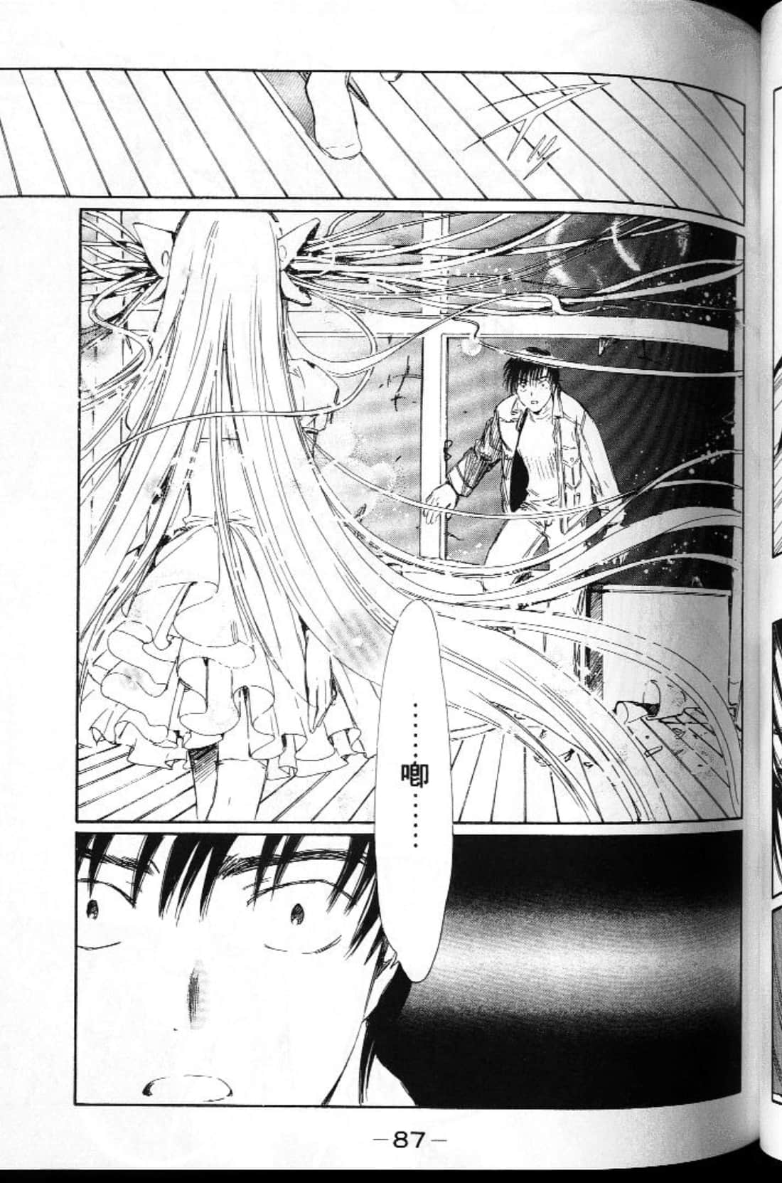 Page 87