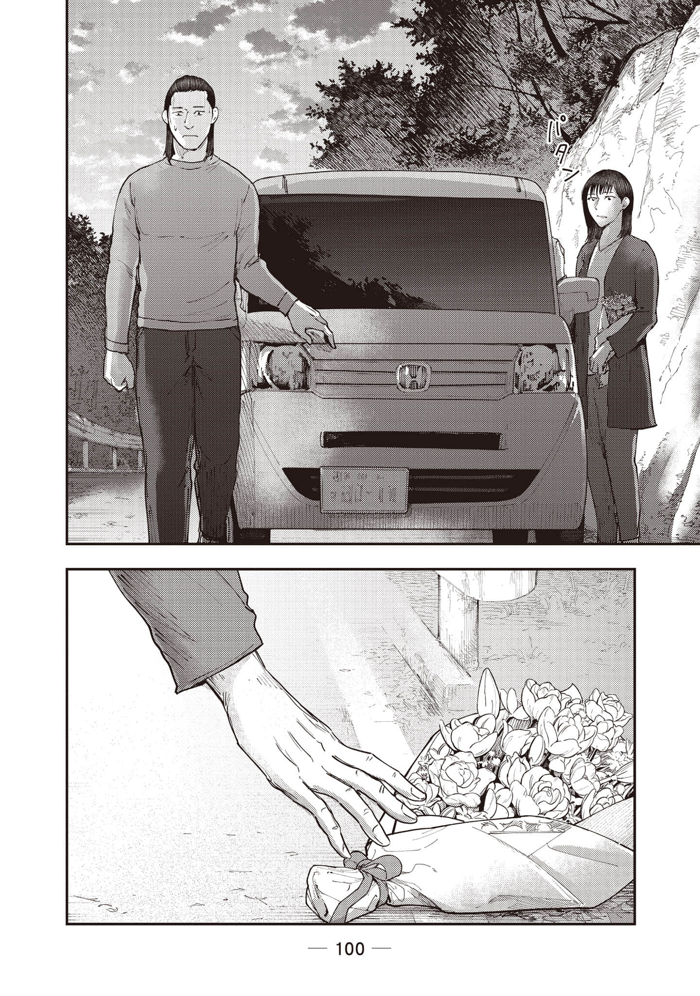 Page 101