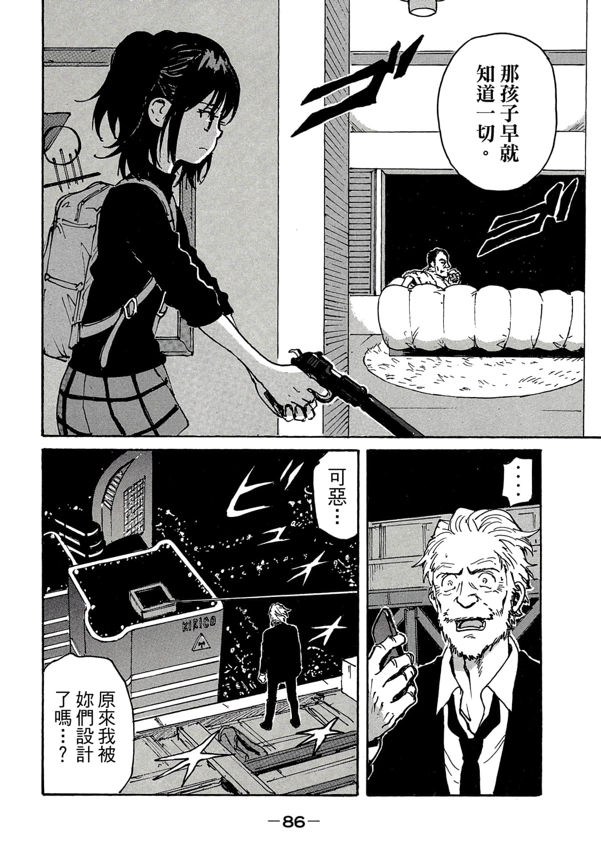 Page 87