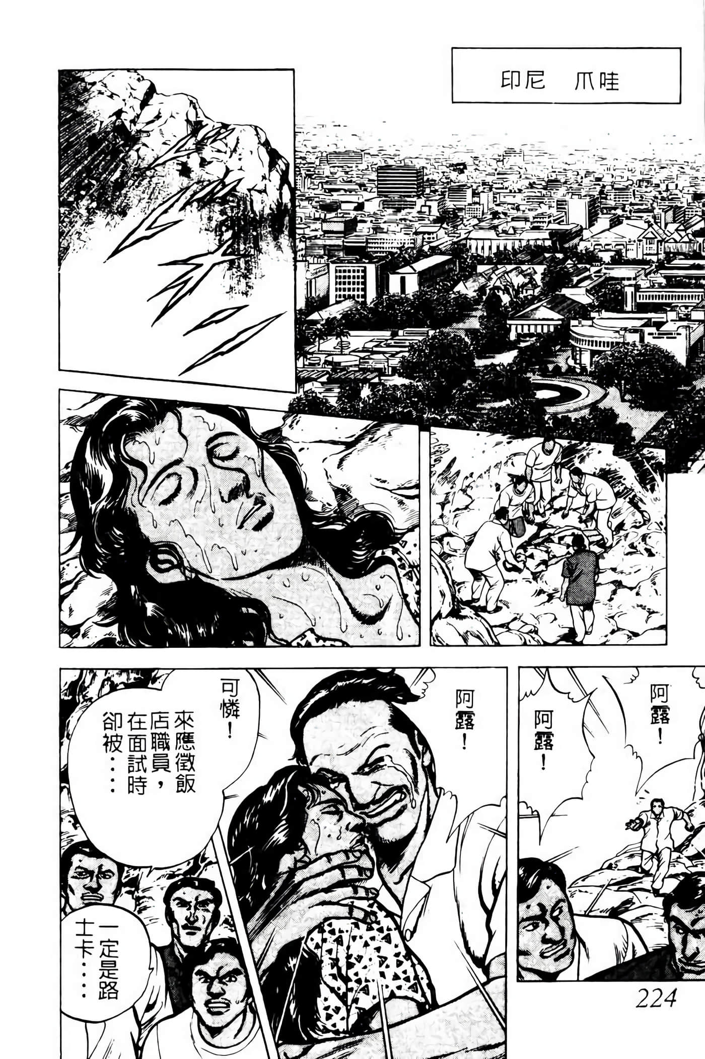 Page 223