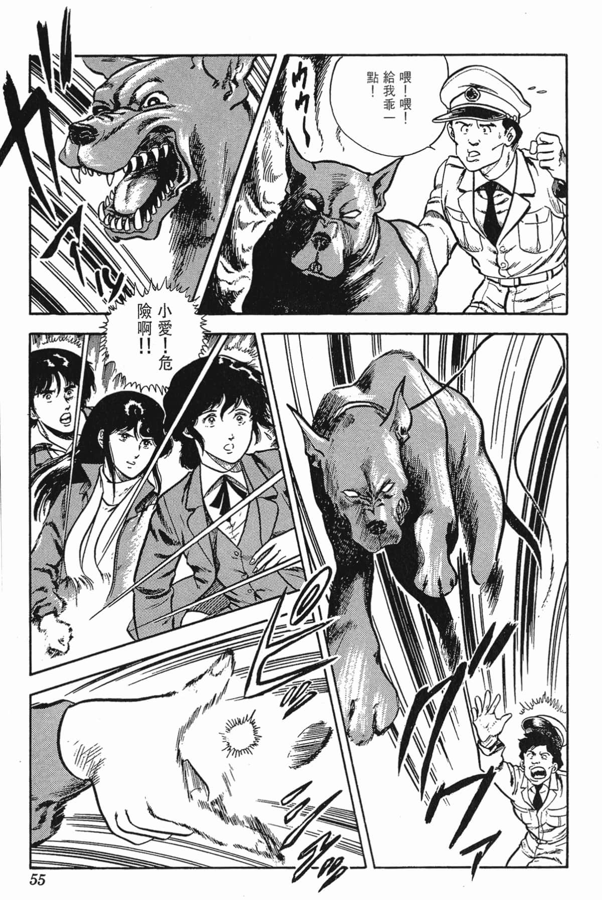 Page 55