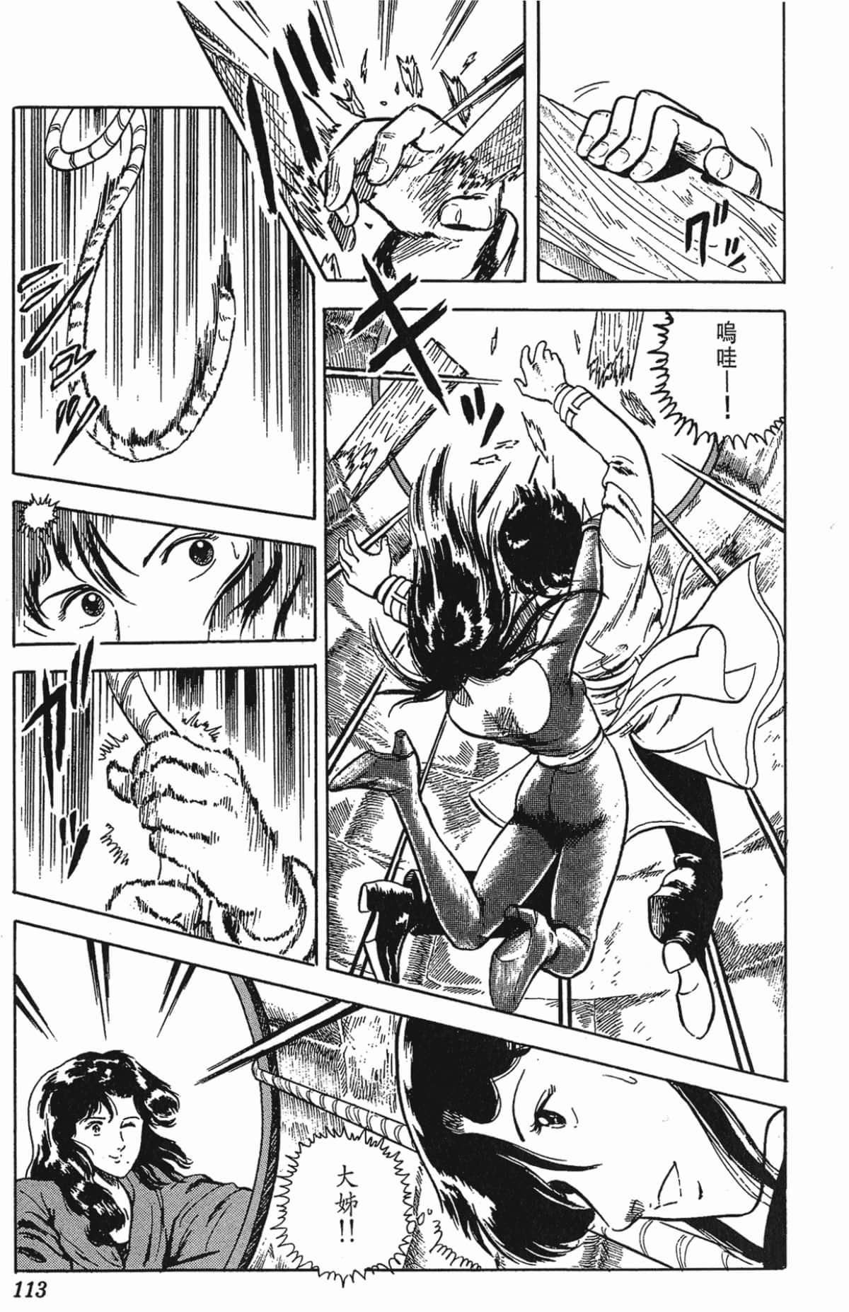Page 113