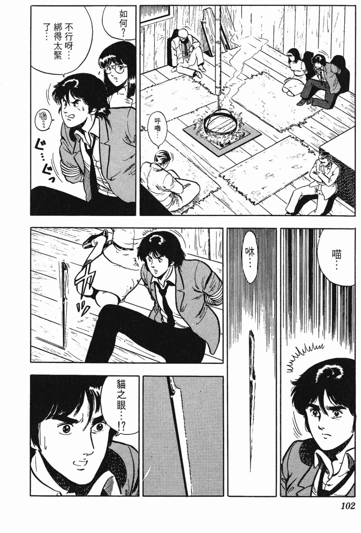 Page 102