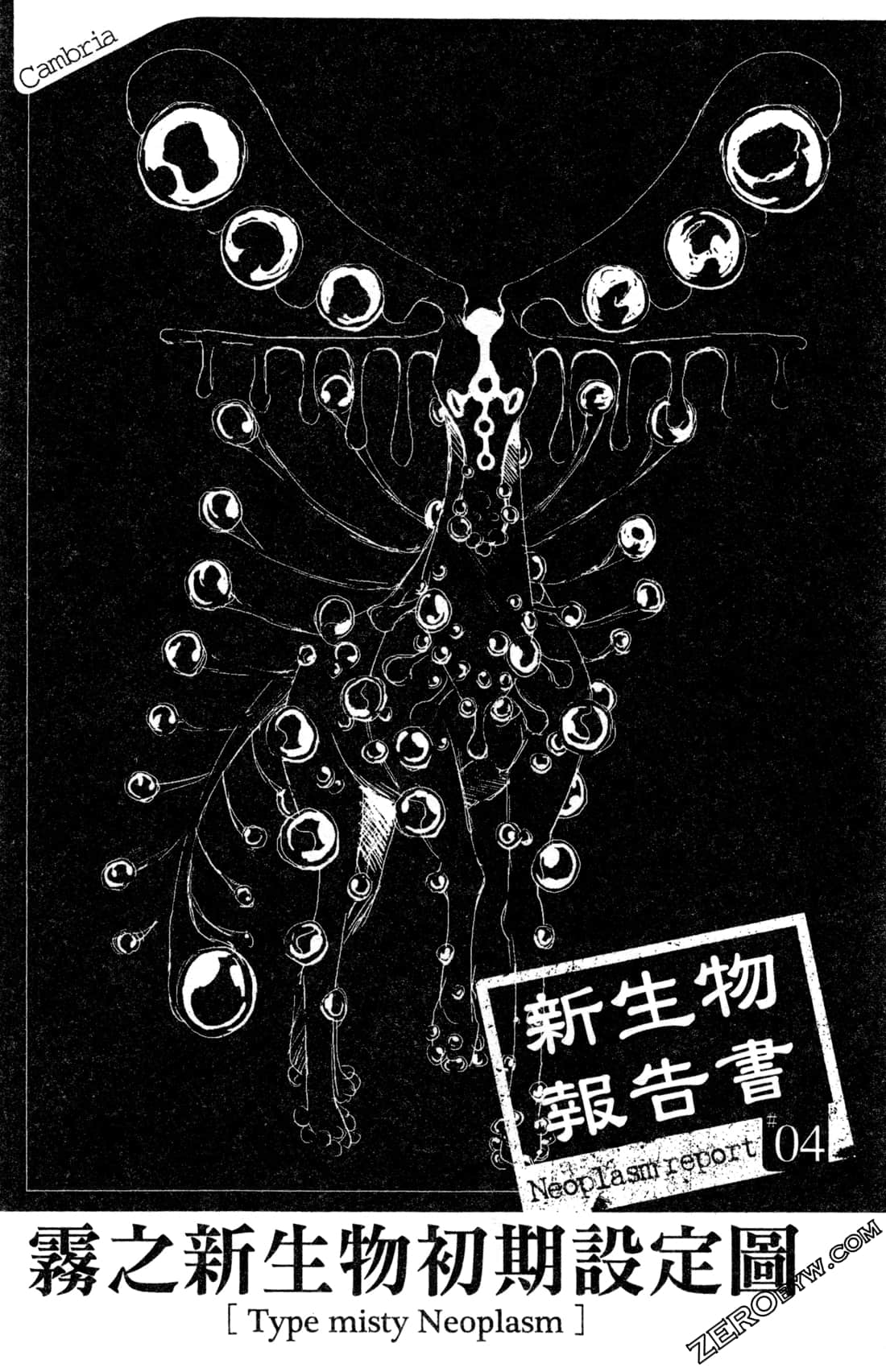 Page 191