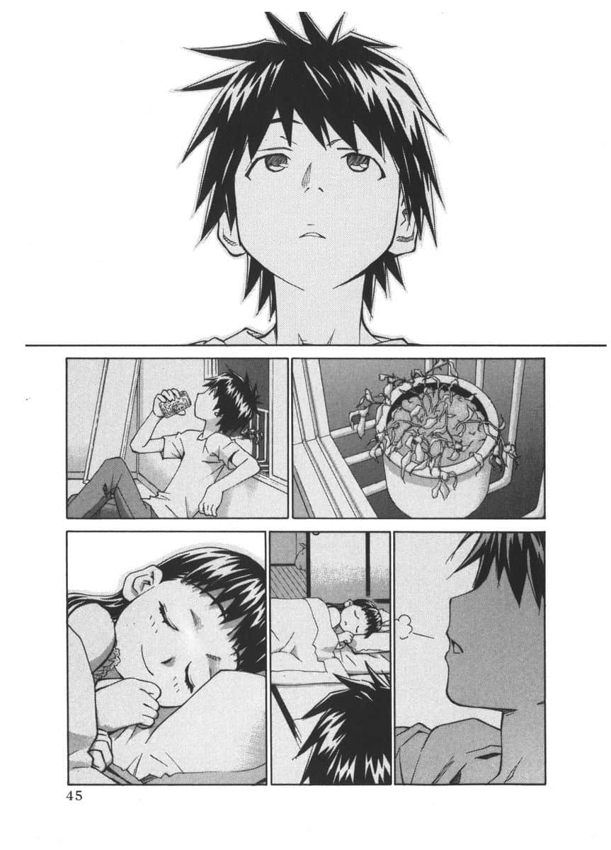 Page 43