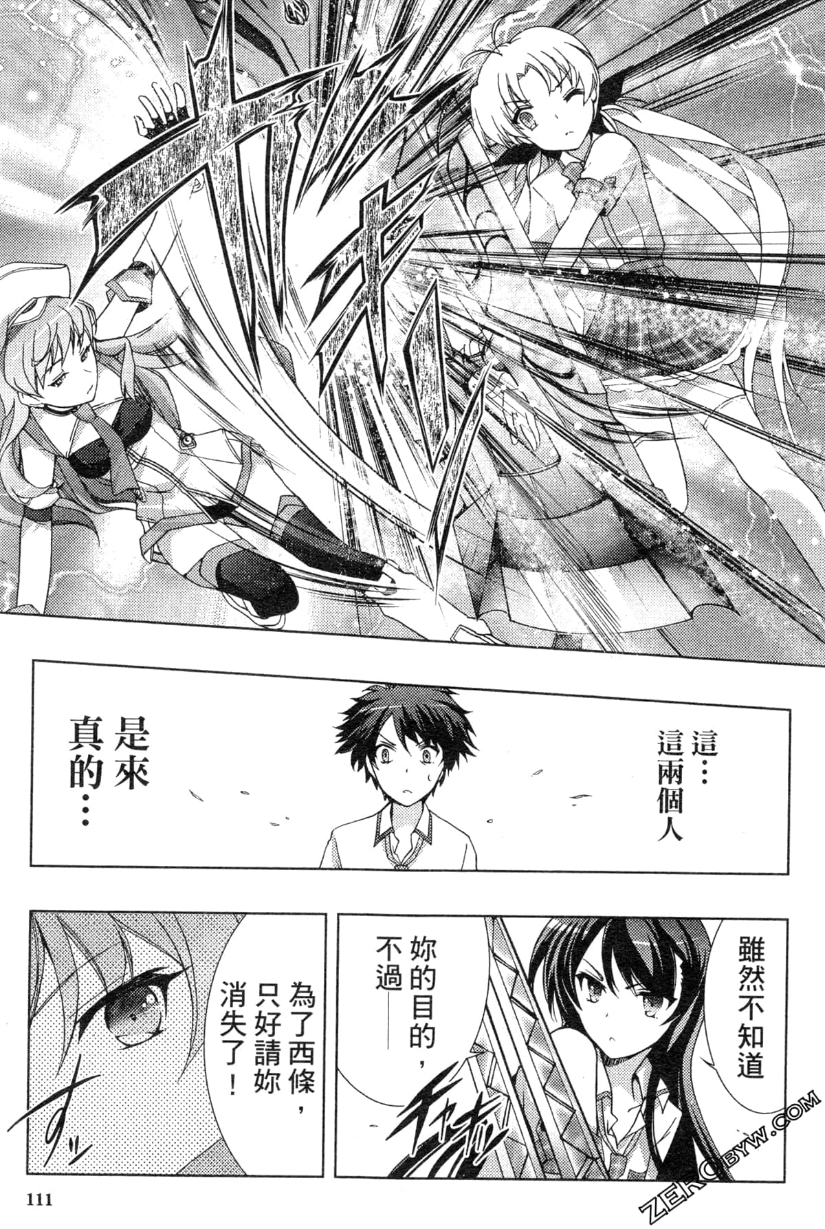 Page 111