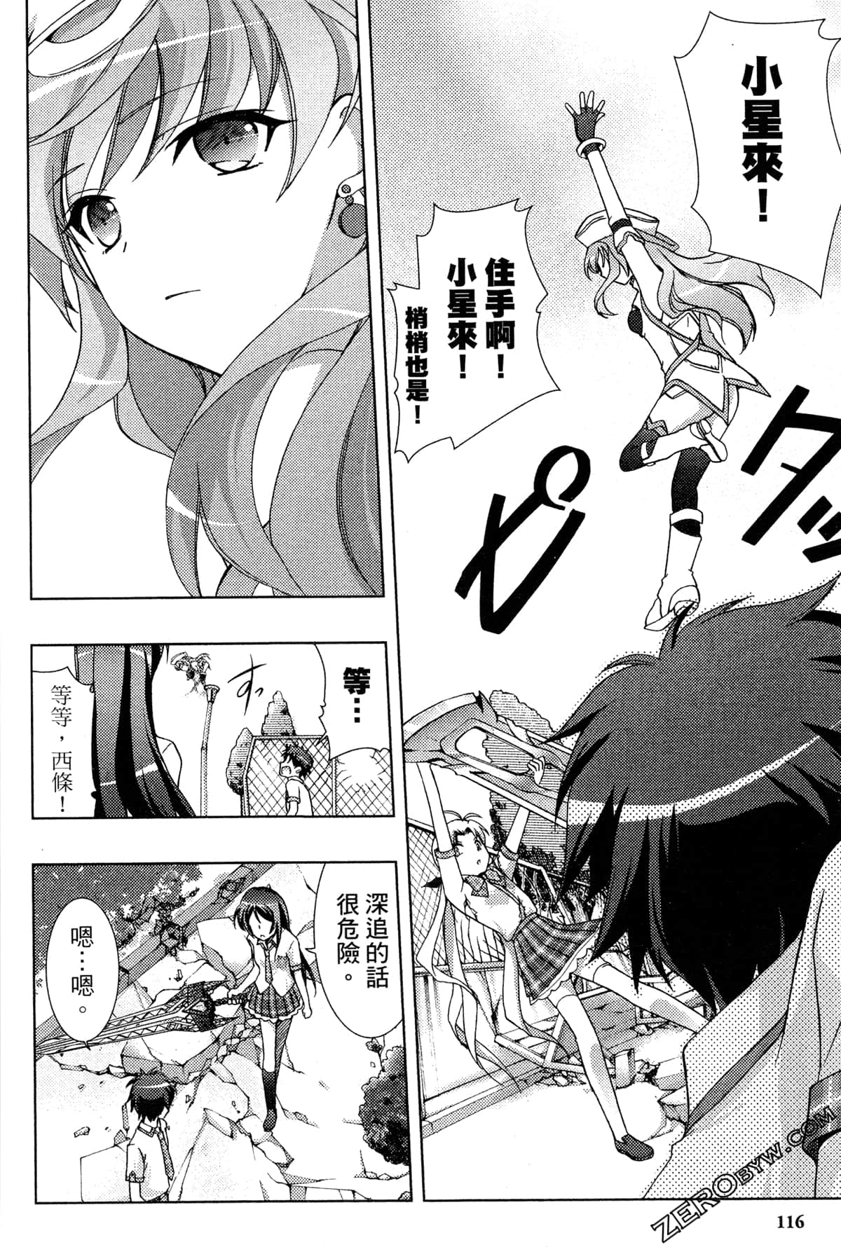 Page 116