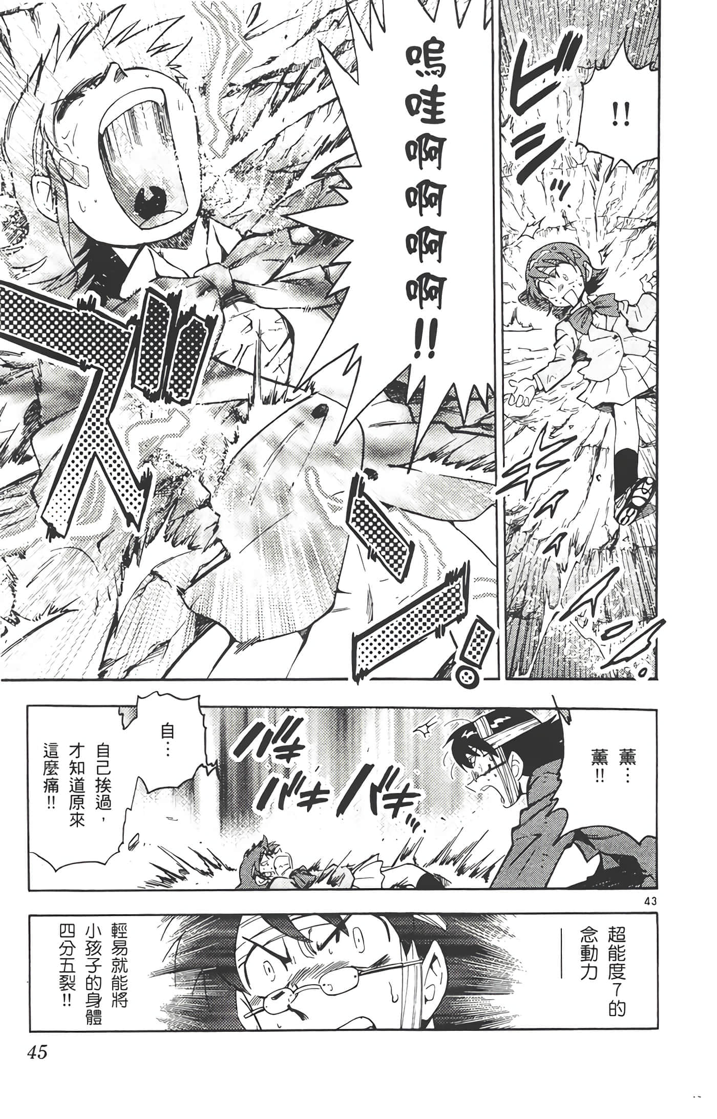 第 46 页