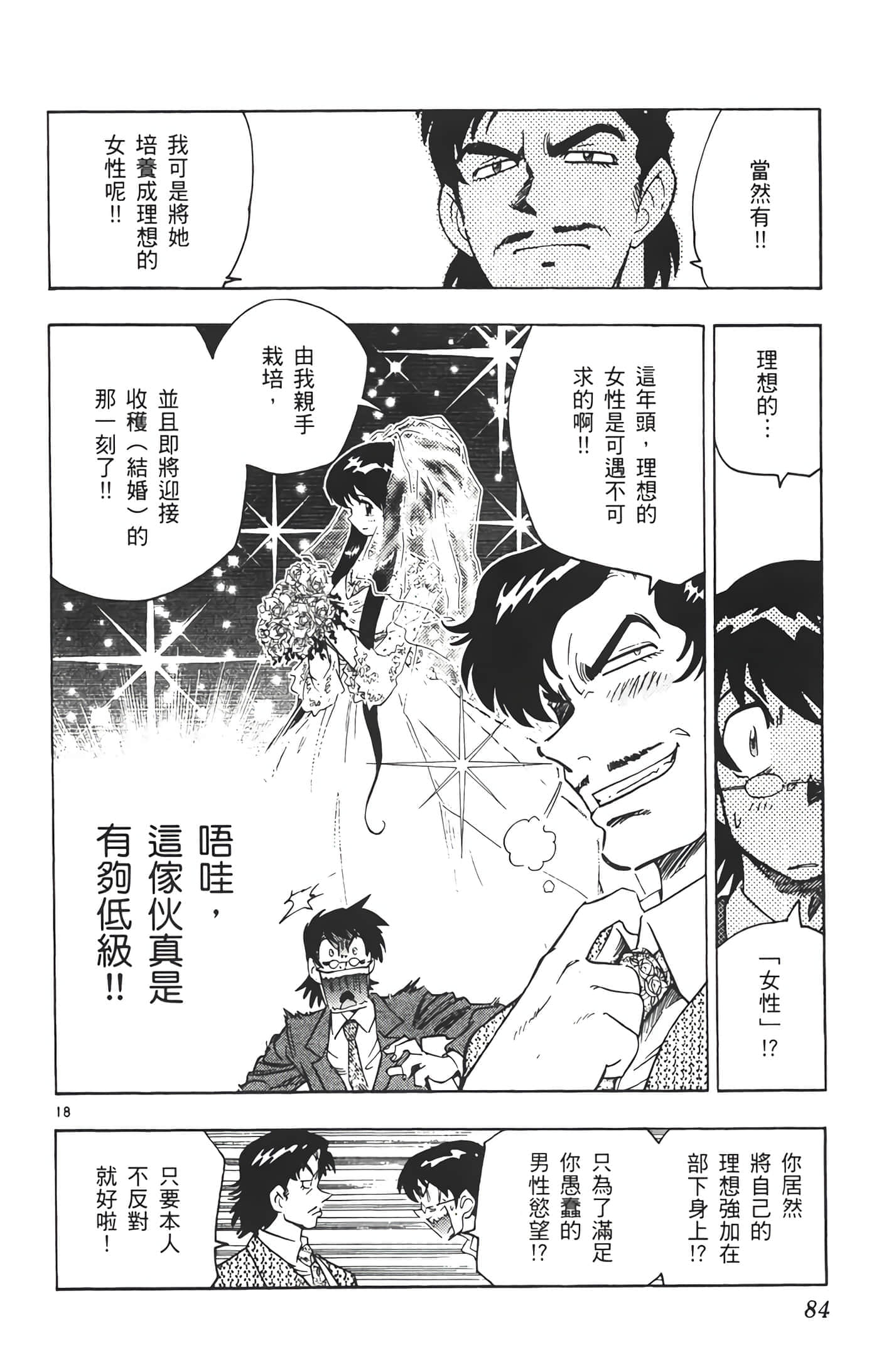 第 85 页